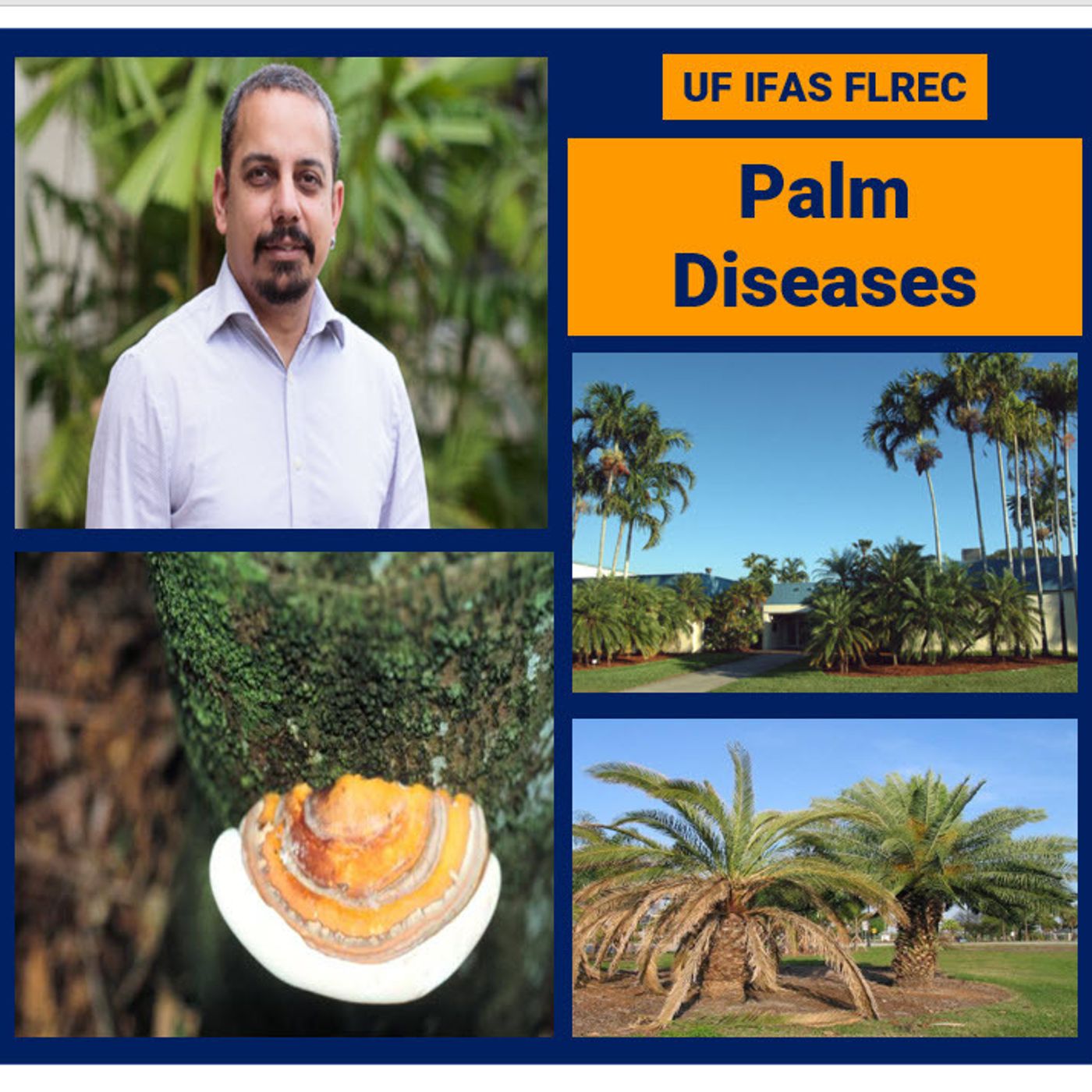 Better Lawns and Gardens - Hour 1 Palm Diseases September 24, 2023