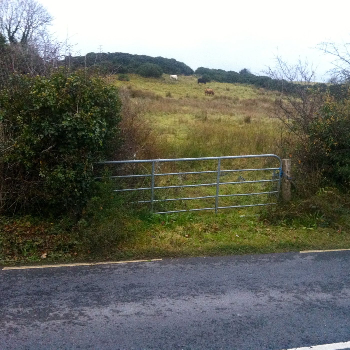 BSW4 - 12. Ardara fort episode artwork