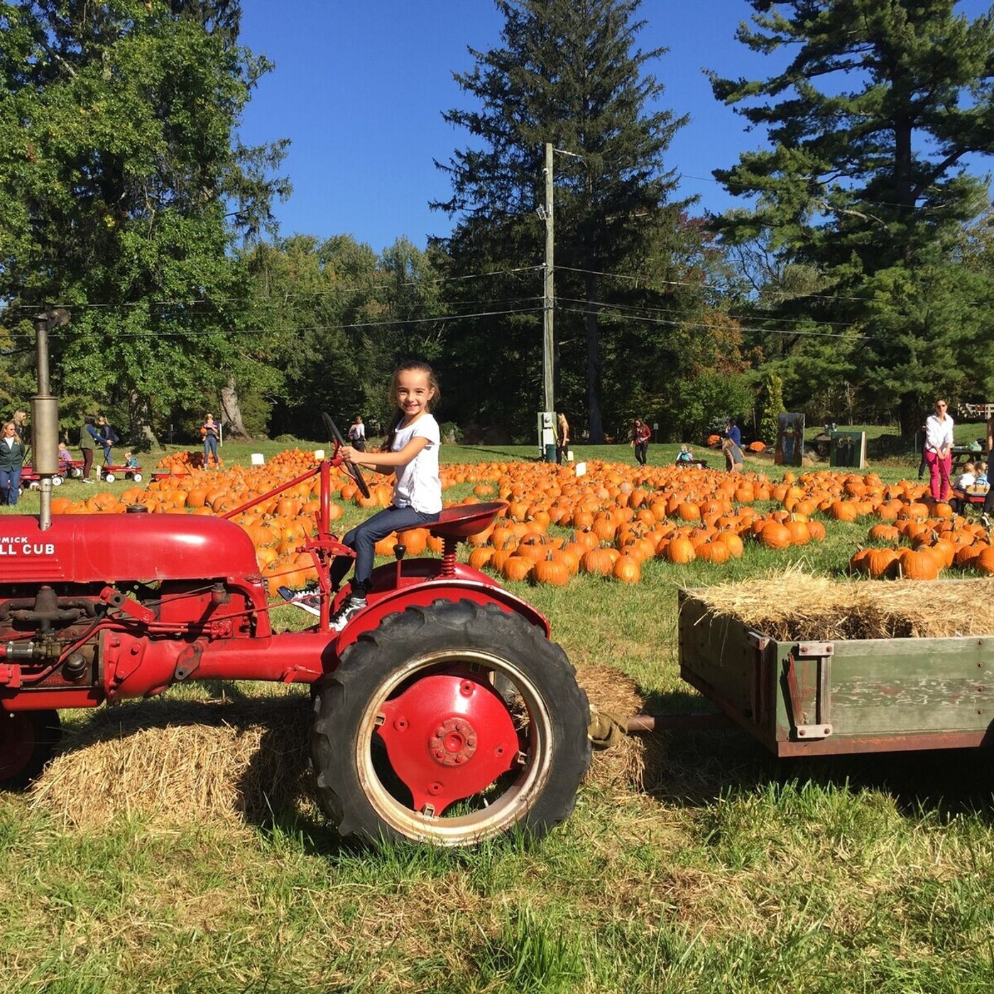 The Feed: Fun Ways To Spend Your First Weekend of October episode artwork