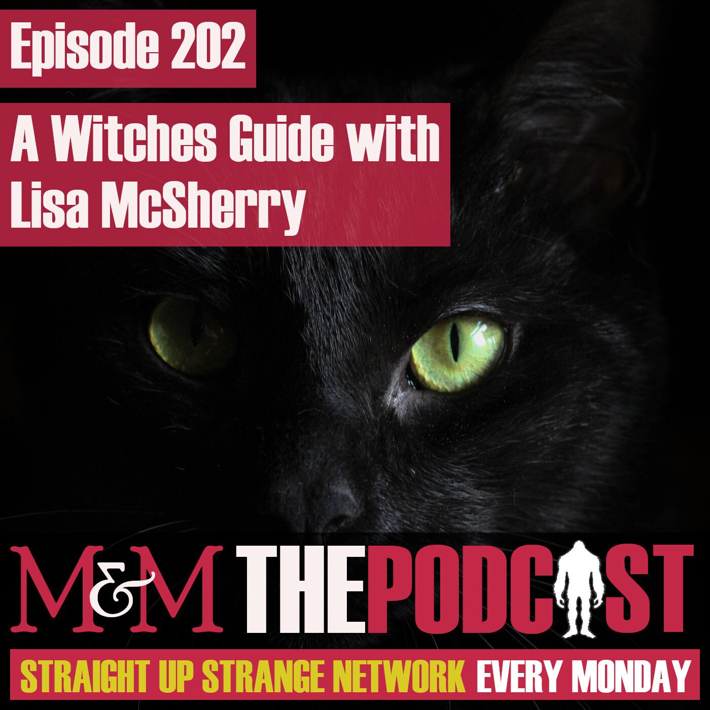 Mysteries and Monsters: Episode 202 A Witches Guide with Lisa McSherry