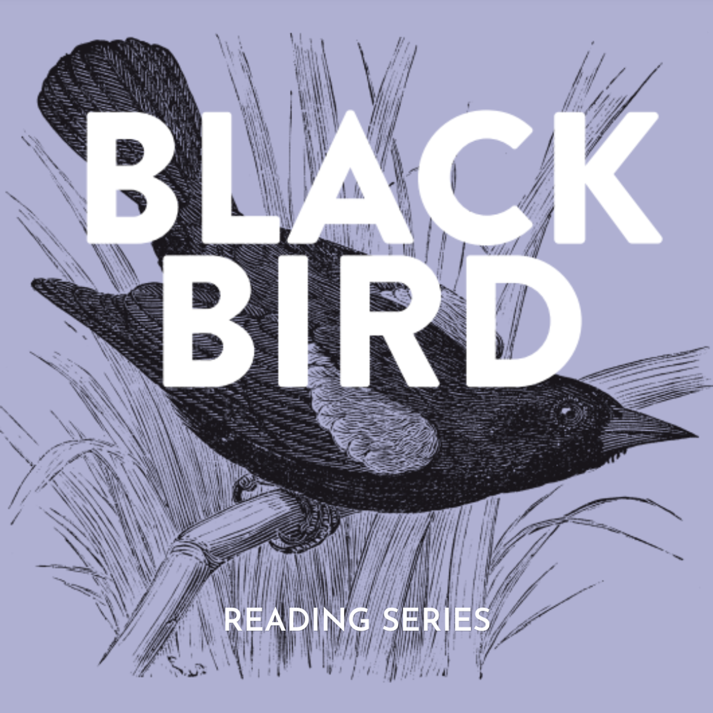S7 Ep9: Blackbird Reading Series: Michael Hall