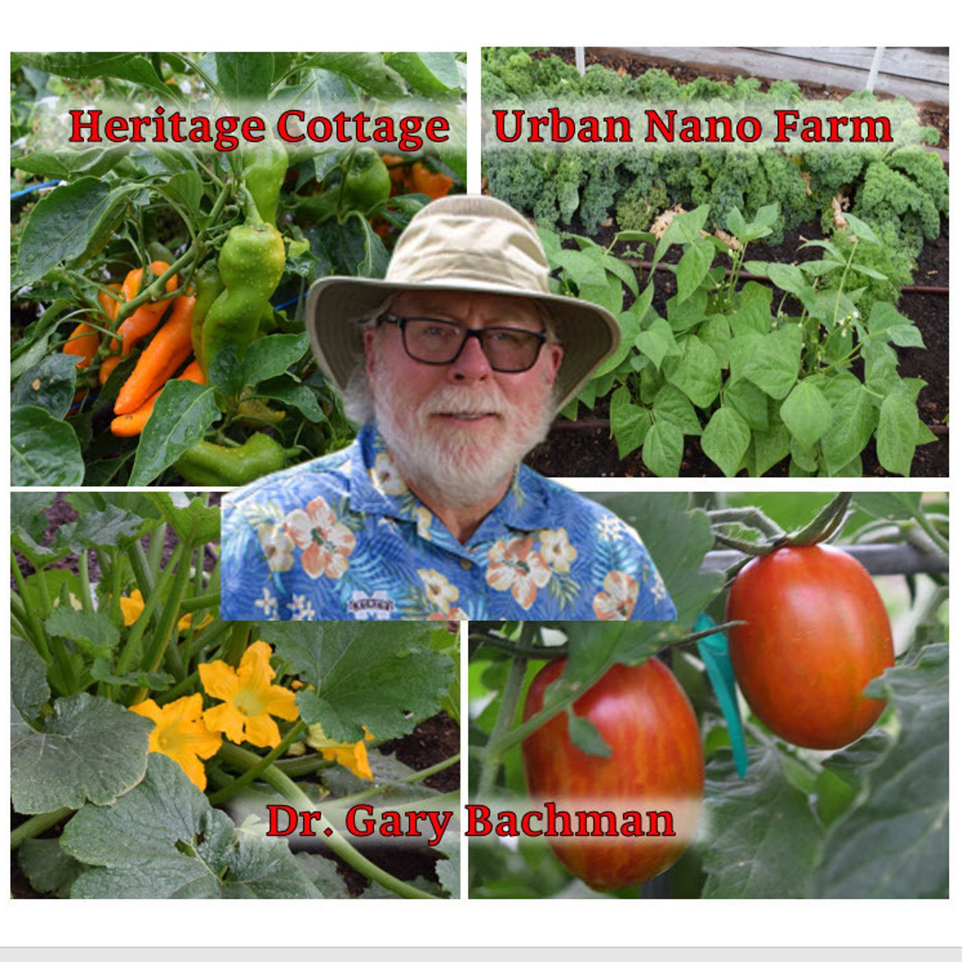 Better Lawns and Gardens Gary Bachman Heritage Cottage  Hour 2 October 15, 2022