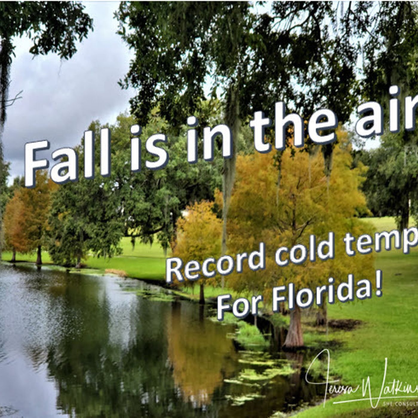 Better Lawns and Gardens Hour 1 - Record Cold Temps in Florida October 22, 2022