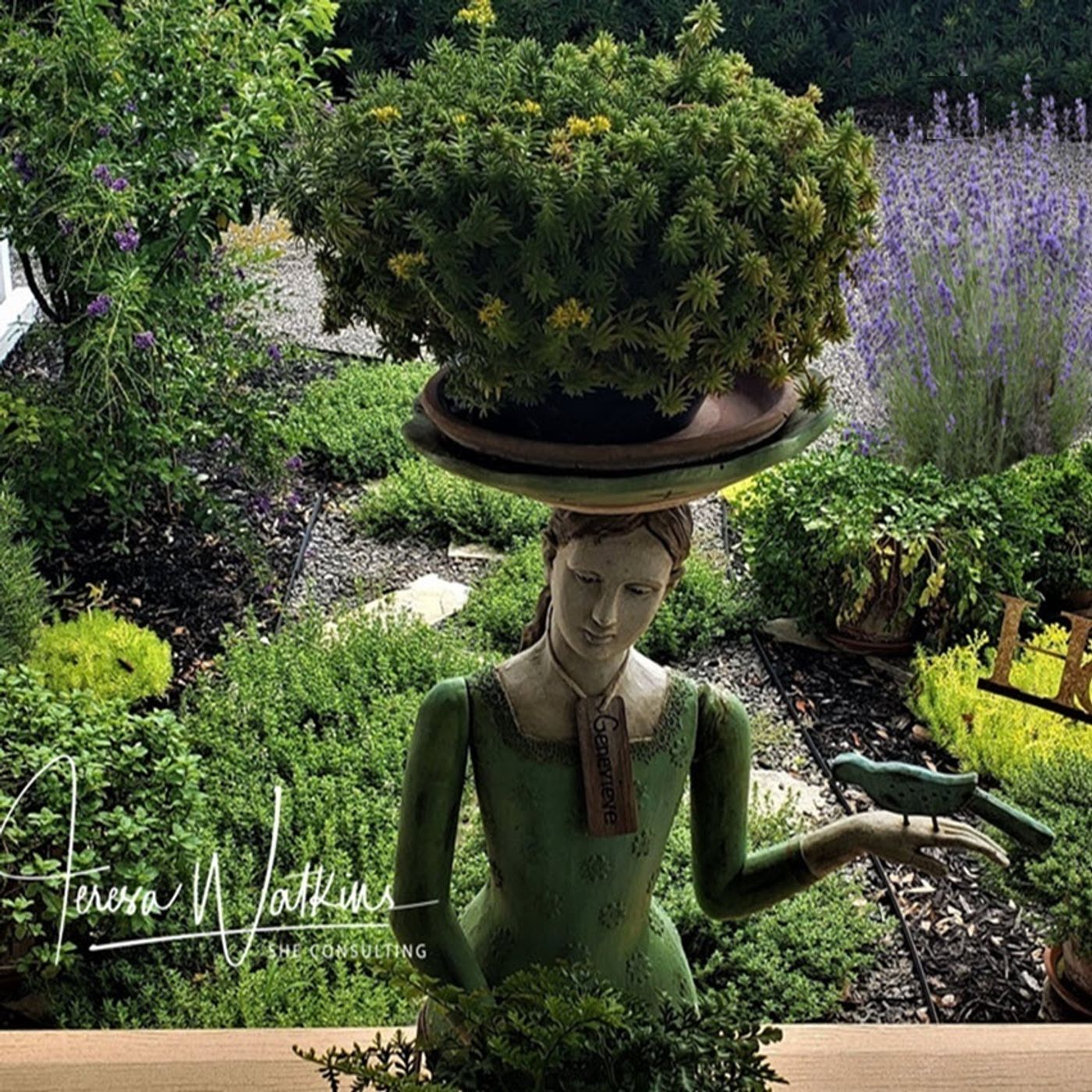 Better and Lawns and Gardens Hour 2 - Fall Herb Gardens October 22, 2022