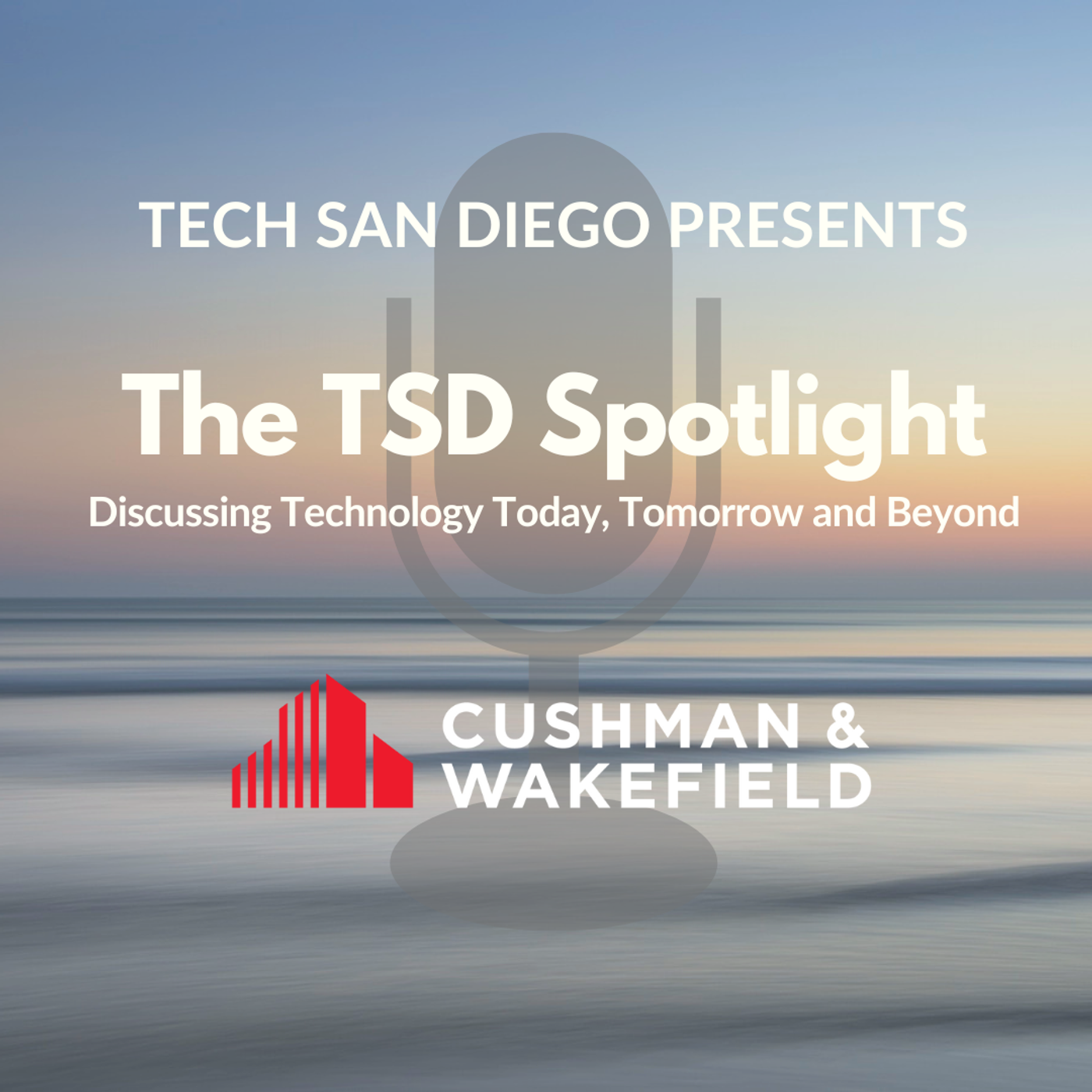 32: TSD Spotlight: Andy Ewald, from Cushman and Wakefield, talk their Tech Cities Report episode artwork