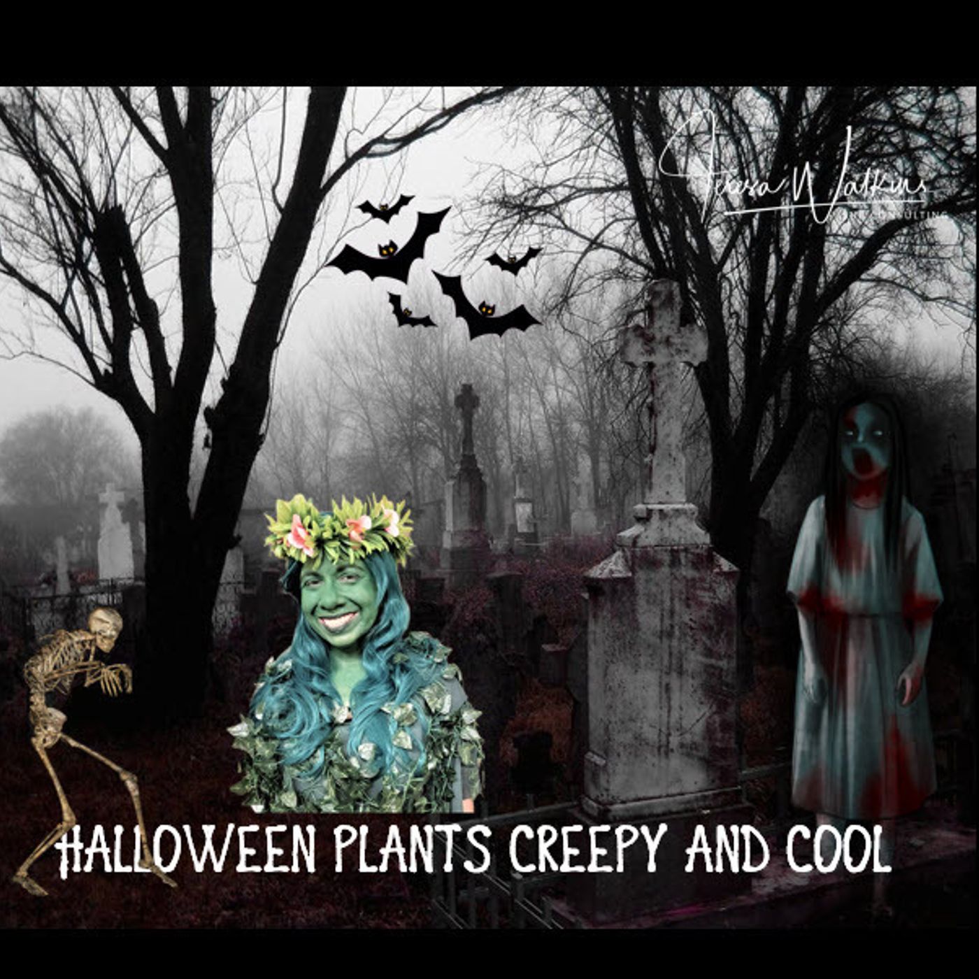 Better Lawns and Gardens Hour 1 - Halloween Plants Creepy and Cool October 29, 2022