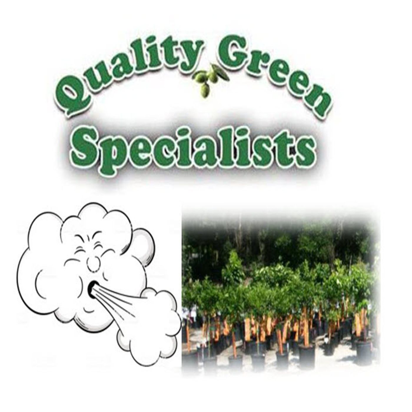 Better Lawns and Gardens - Hour 1 Wind Resistant Trees and Citrus November 12, 2022
