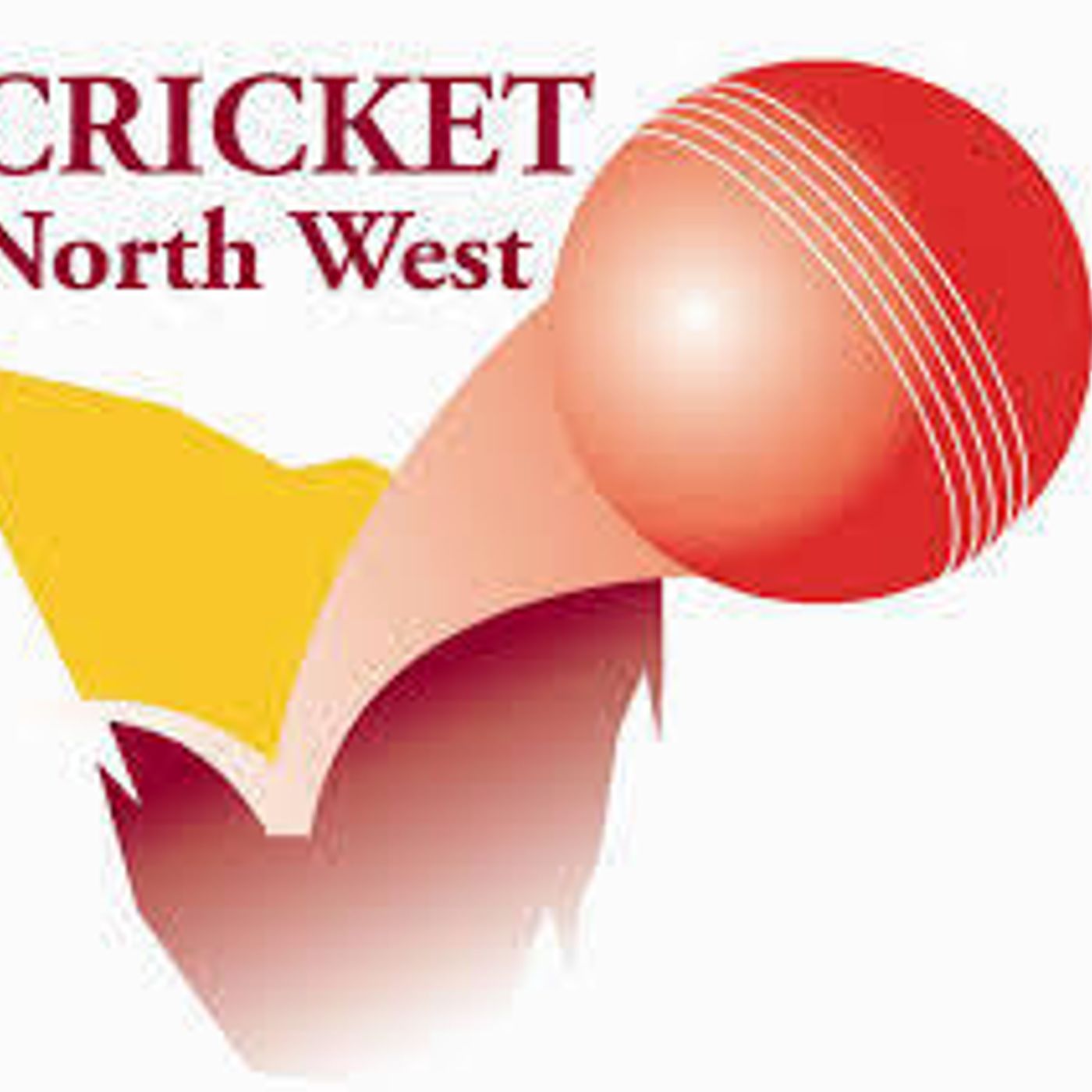 1446: Cricket North West with Moose. Nov 18 episode artwork