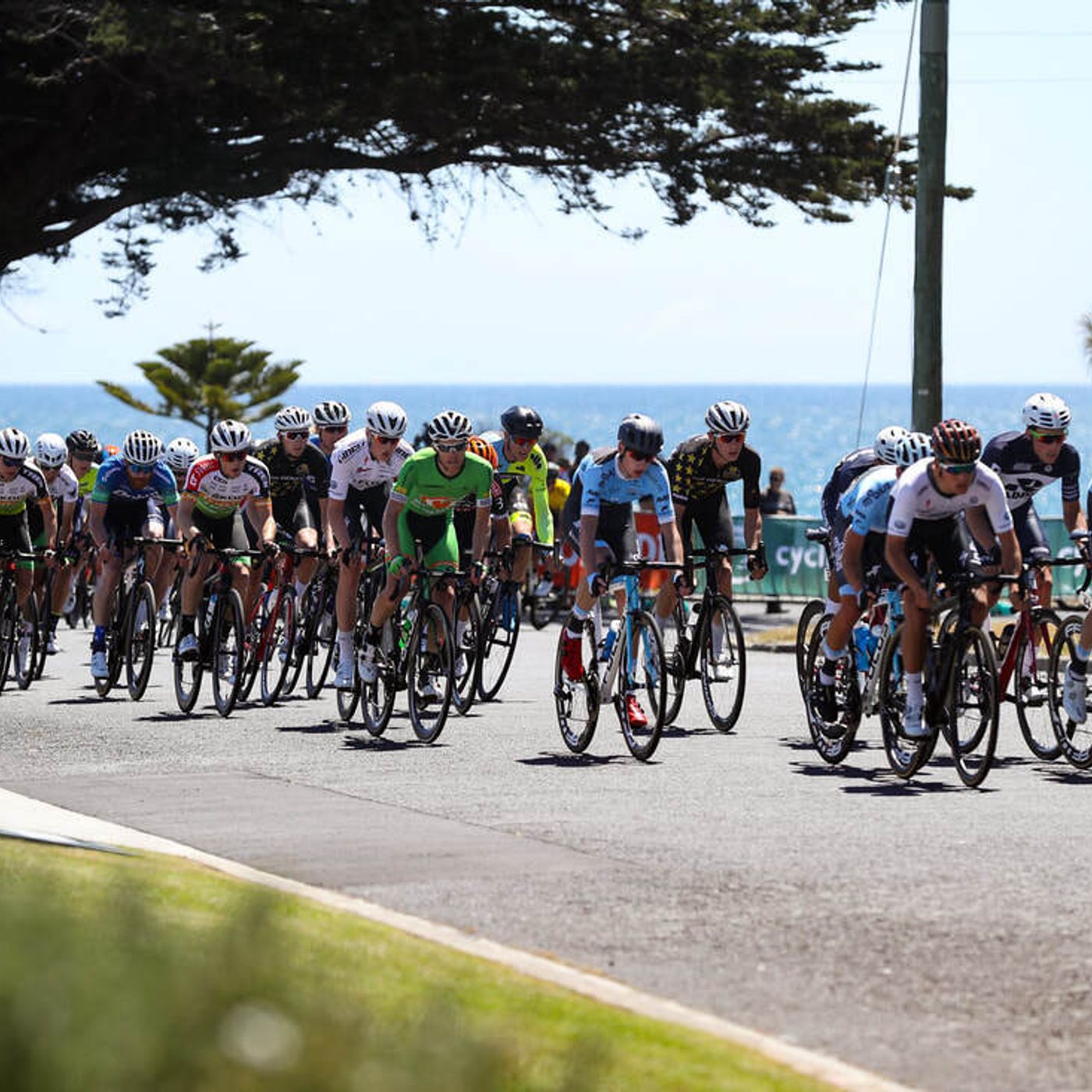 1450: Tour of Tas Cycling Classic. episode artwork