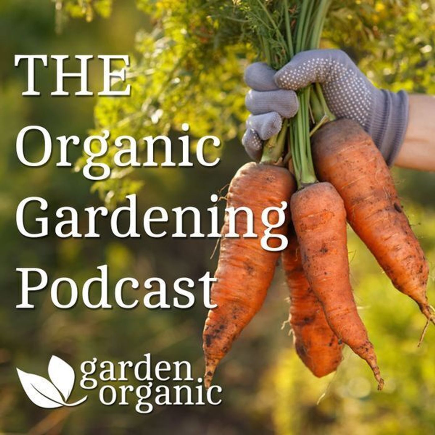 S2 Ep49: December - Trials, triumphs and the power of produce preservation