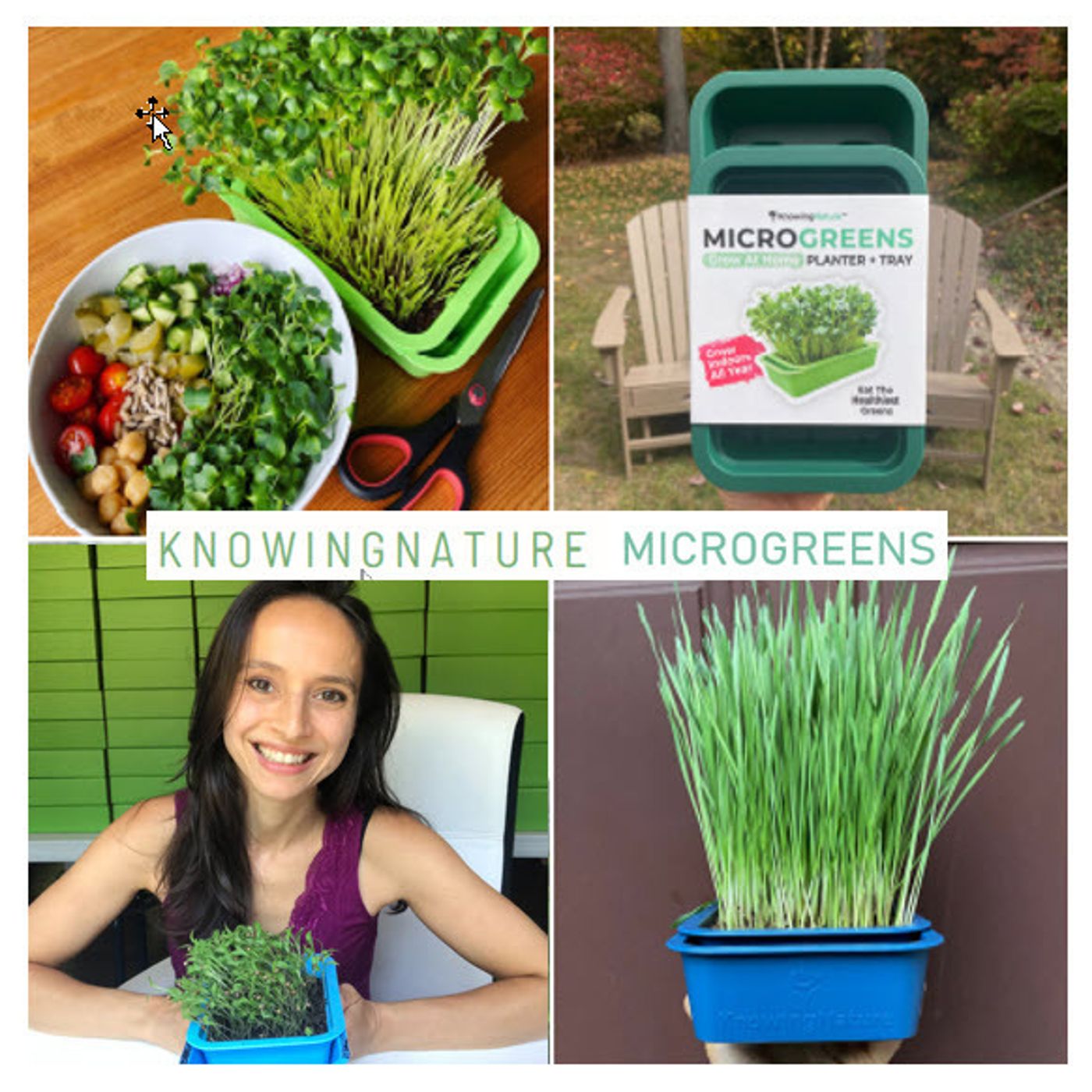 Better Lawns and Gardens - Hour 1 Growing Microgreens with Rachel Haber December 3, 2022