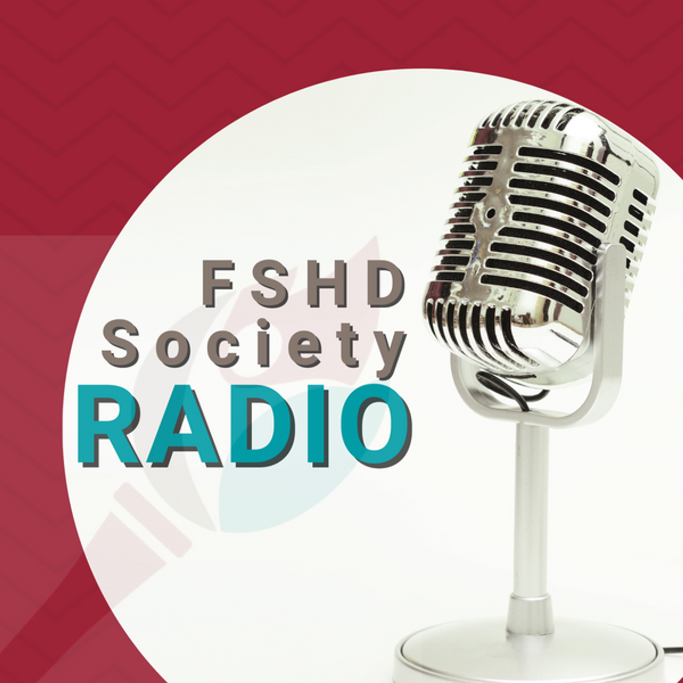 FSHD Straight Talk with Tim Hollenback