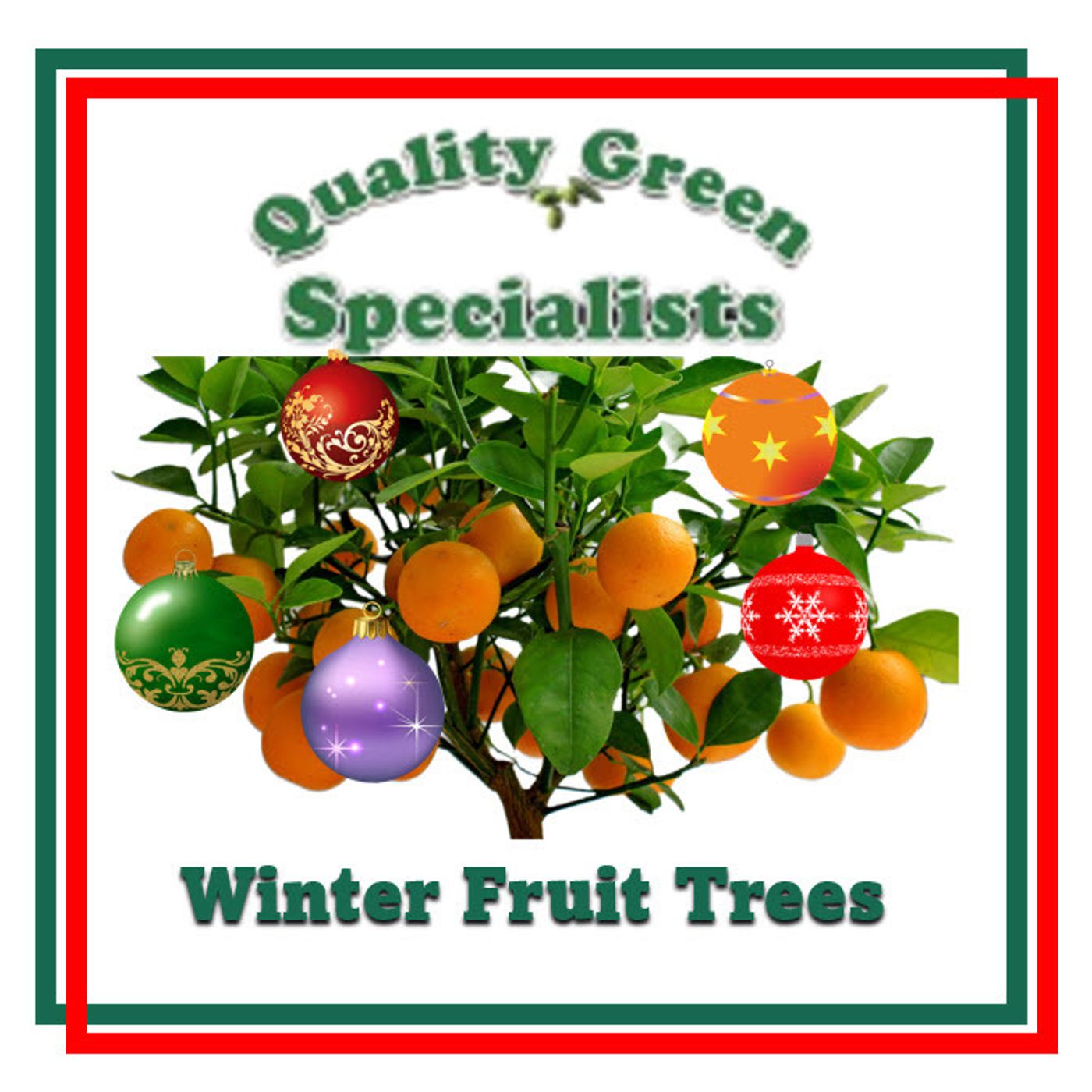 Better Lawns and Gardens - Hour 1 Winter Fruit Trees Quality Green Specialists December 10, 2022