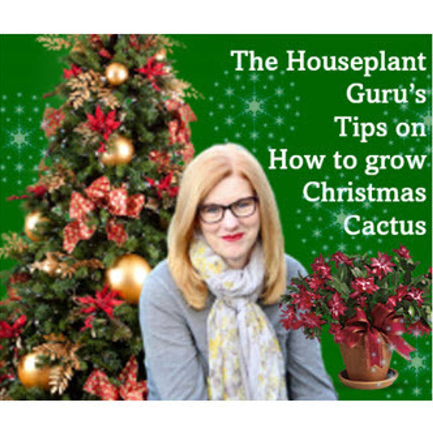 Better Lawns and Gardens - Hour 2 The Houseplant Guru Christmas Cactus December 10, 2022