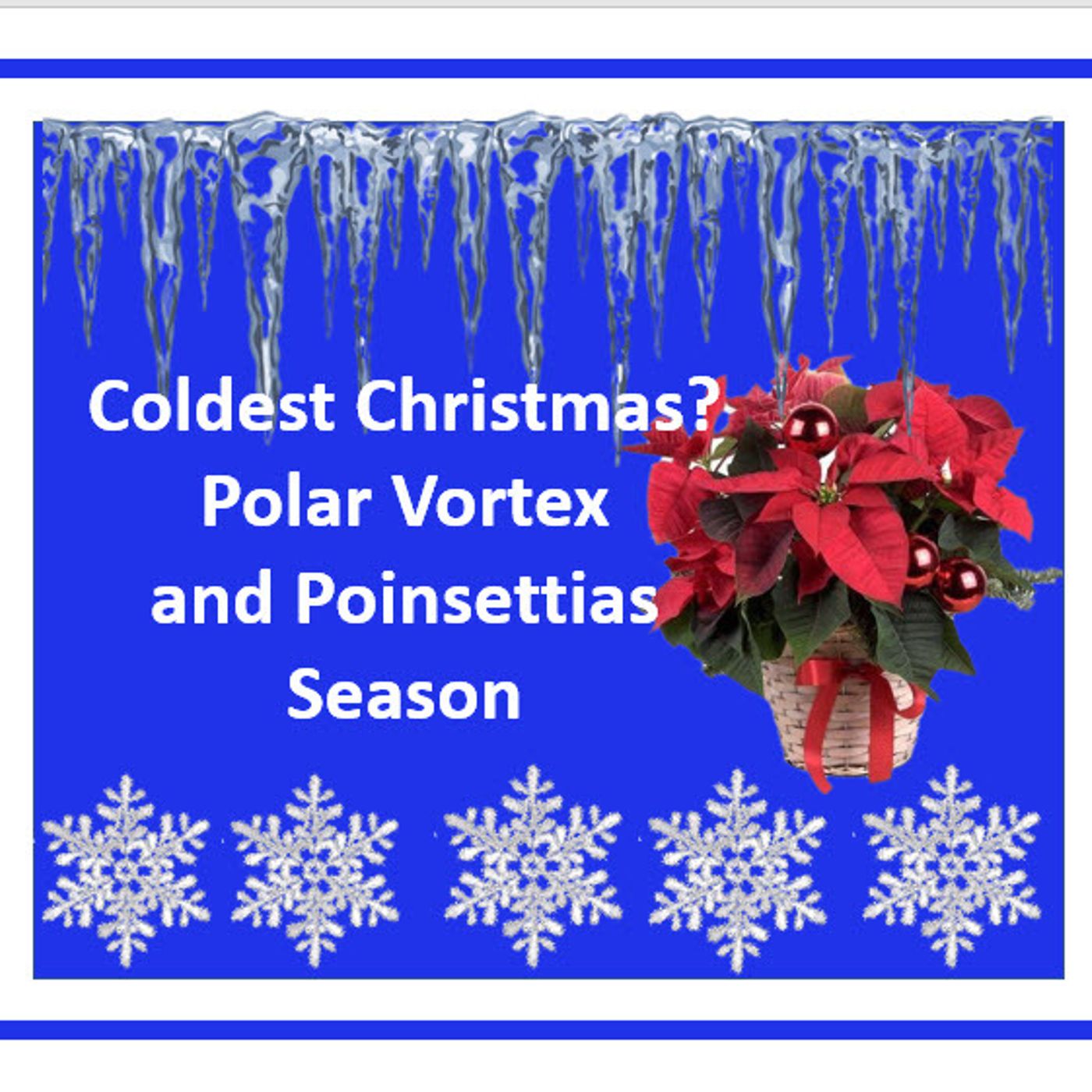 Better Lawns and Gardens Hour 1 - Polar Vortex and Poinsettias December 17, 2022