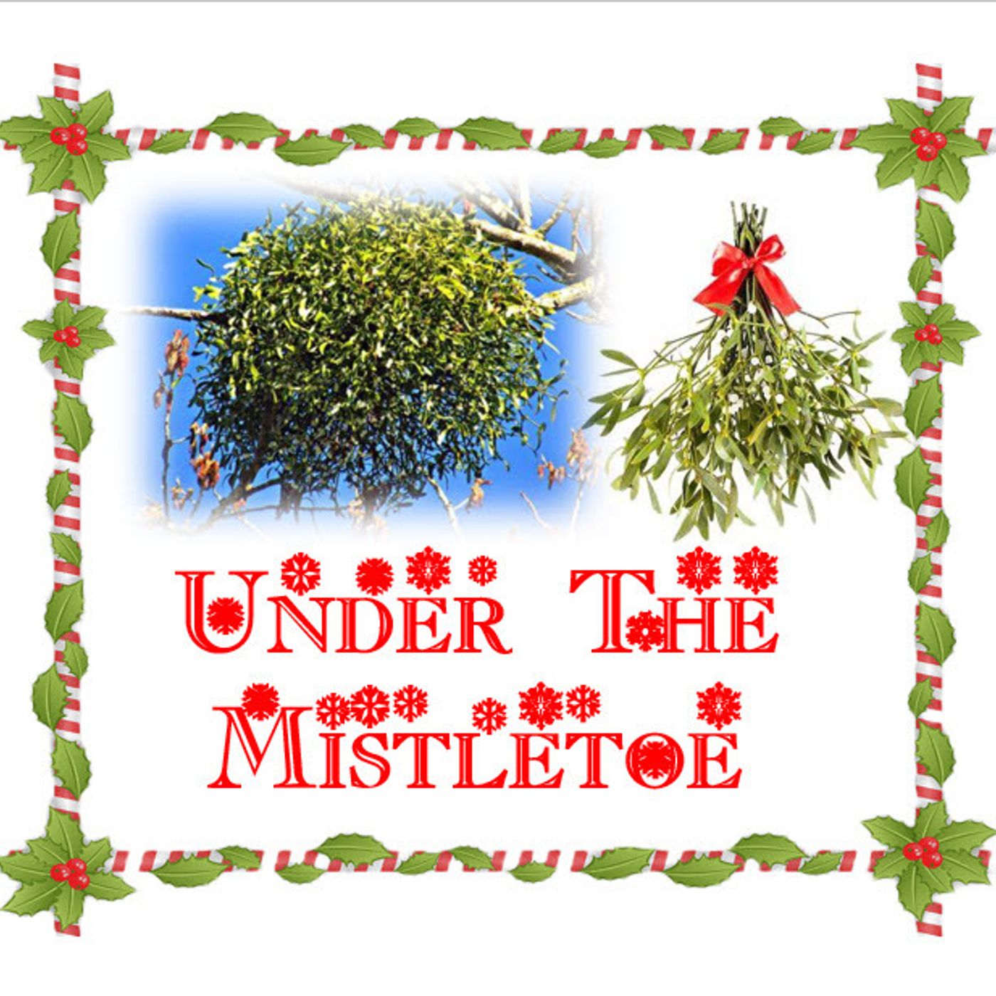 Better Lawns and Gardens Hour 2 - Dr. Gary Bachman Under the Mistletoe December 17, 2022