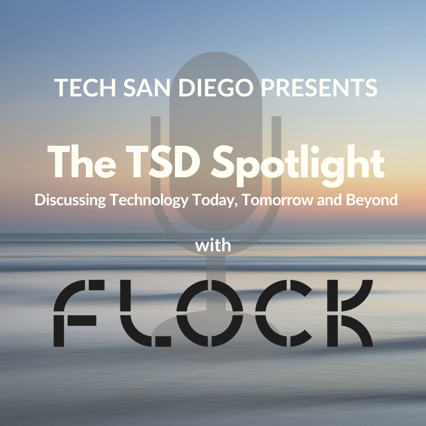 35: TSD Spotlight on Digital Marketing: Brand Awareness with Flock episode artwork