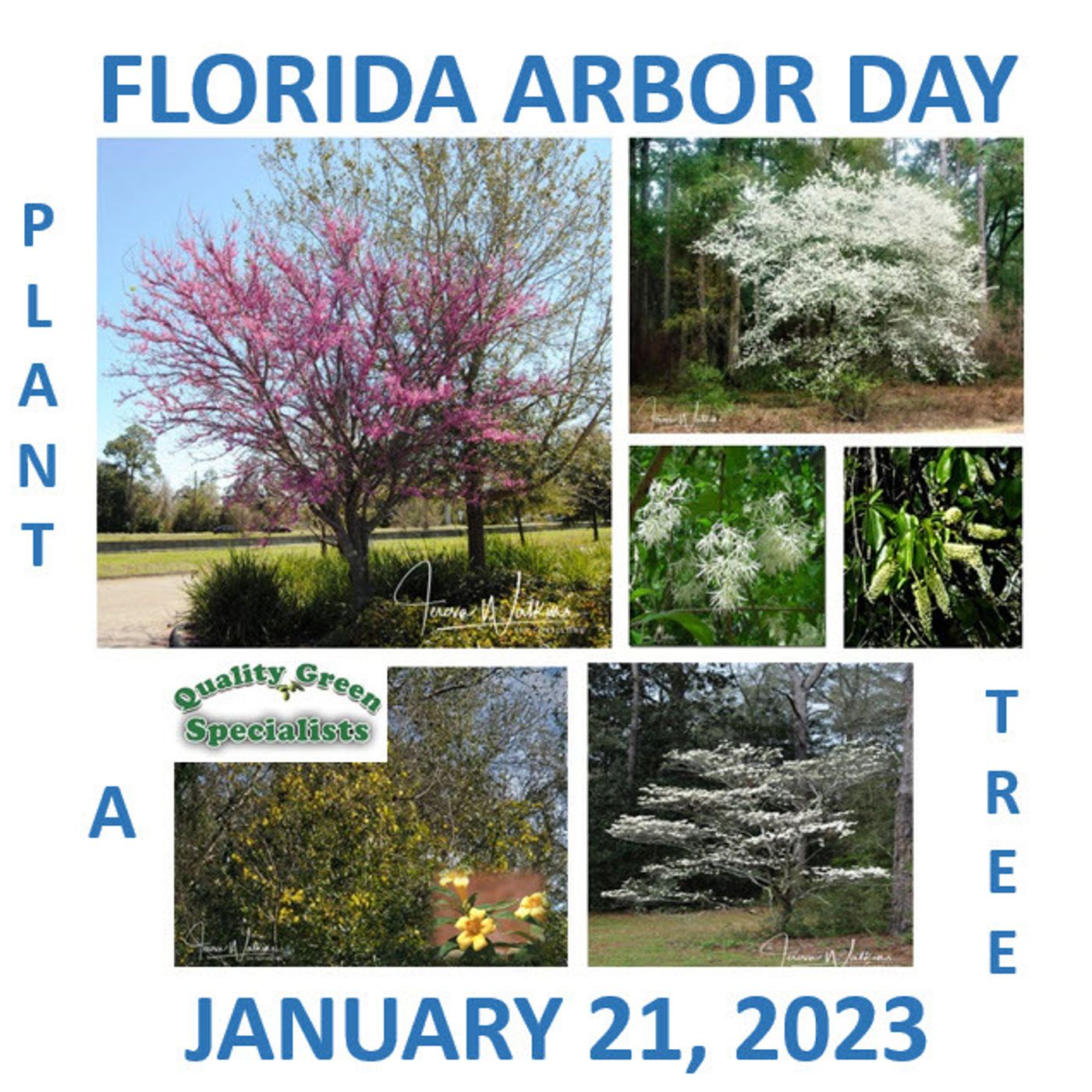 Better Lawns and Gardens - Hour 1 Florida Arbor Day January 7, 2023