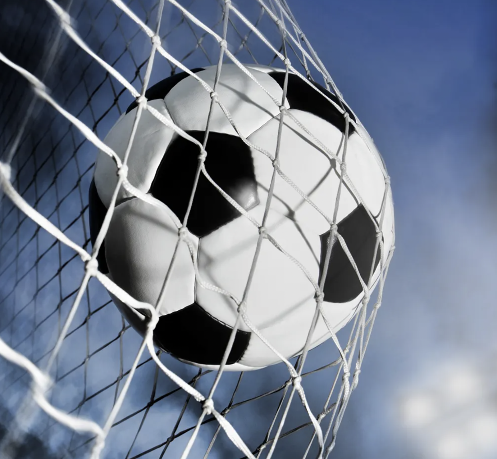 The Albion Roar - 11th January 2023 with guests Neil Atkinson and Brian Owen episode artwork