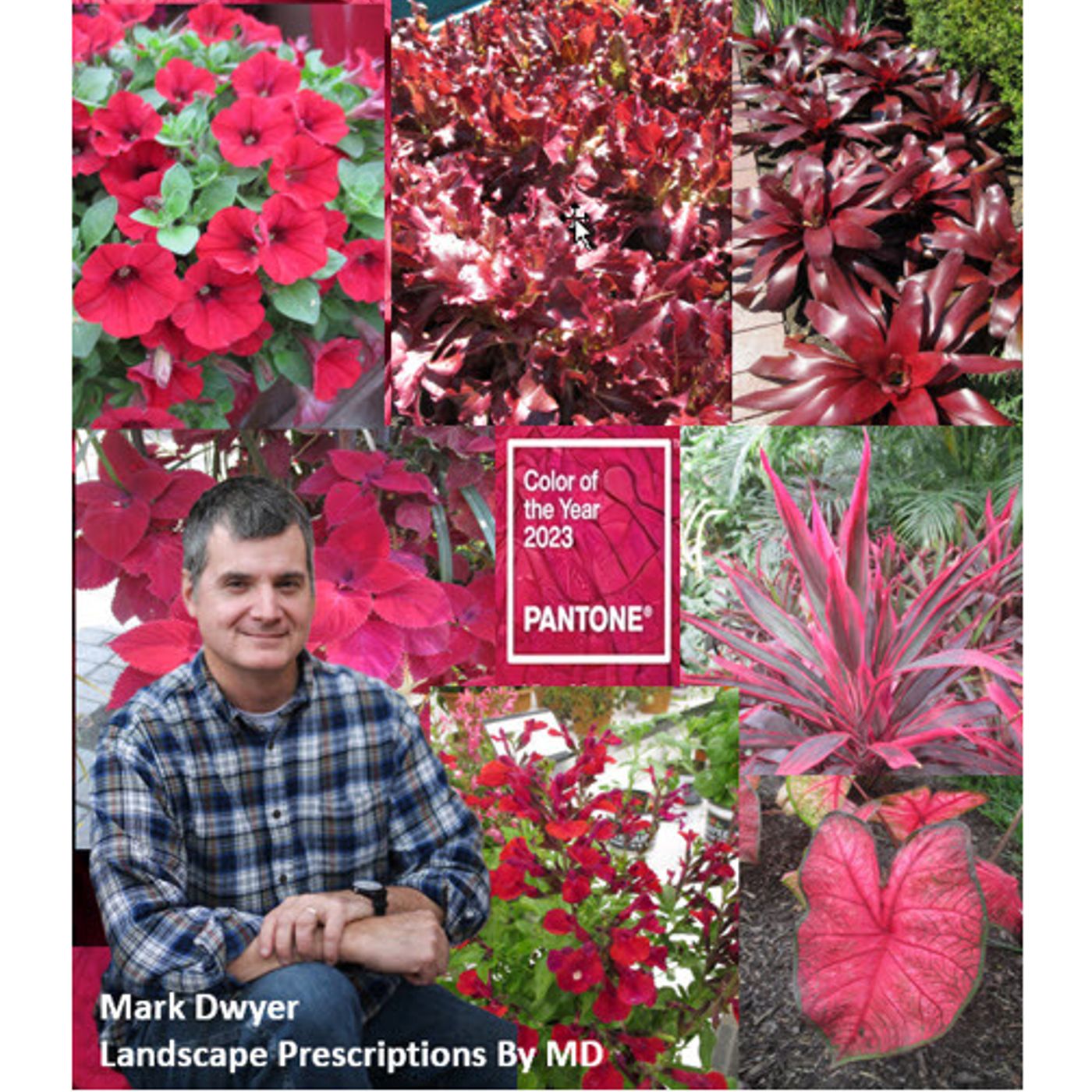 Better Lawns and Gardens - Hour 2 Mark Dwyer Pantone Color of the Year 2023 January 14, 2023