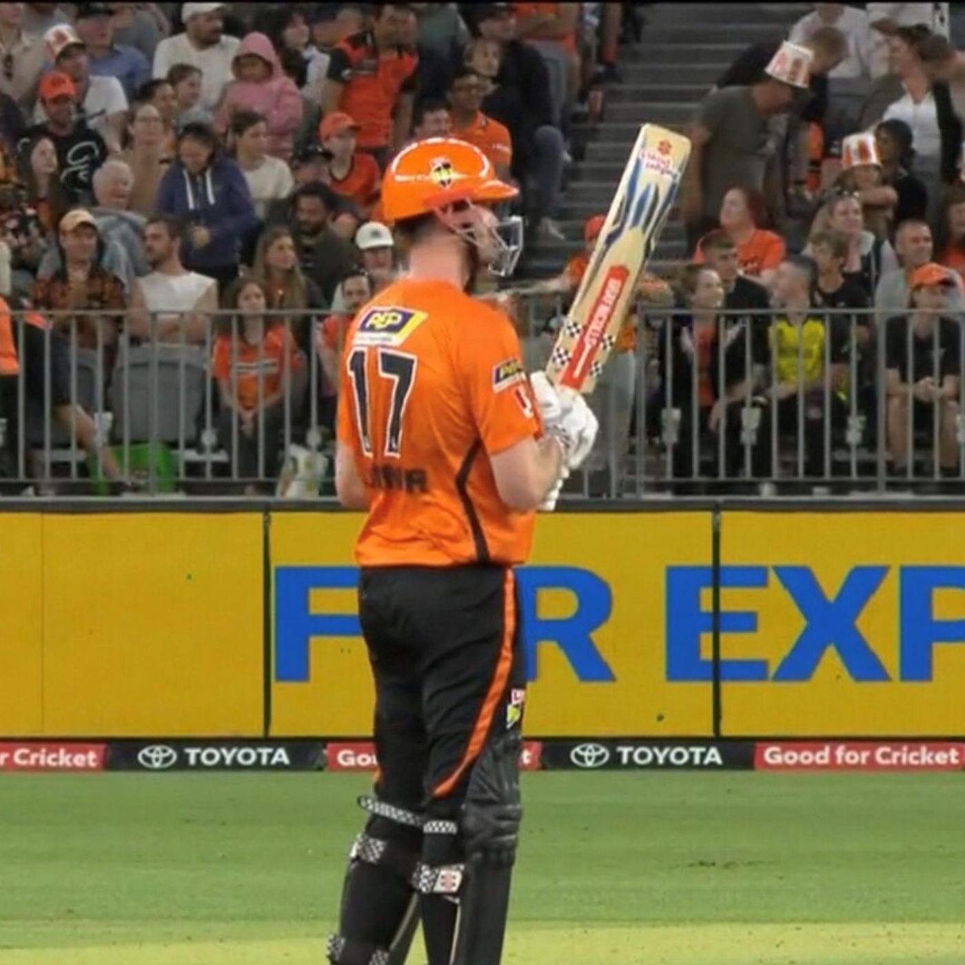 Cricket World