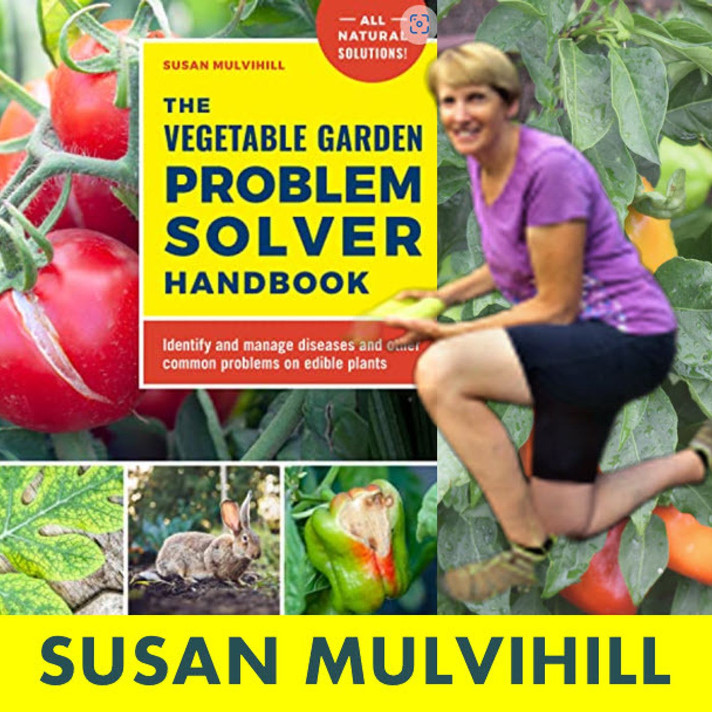 Better Lawns and Gardens - Hour 2 The Vegetable Garden Problem Solver Handbook February 4, 2023