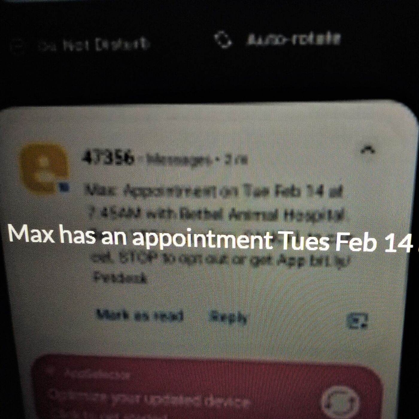 Synchronicity - Picnic at Hanging Rock and A Valentine from Max