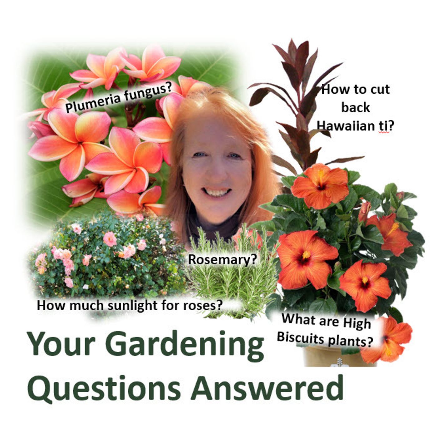 Berrer Lawns and Gardens - Hour 2 Your Gardening Questions Answered! Feb 25, 2023