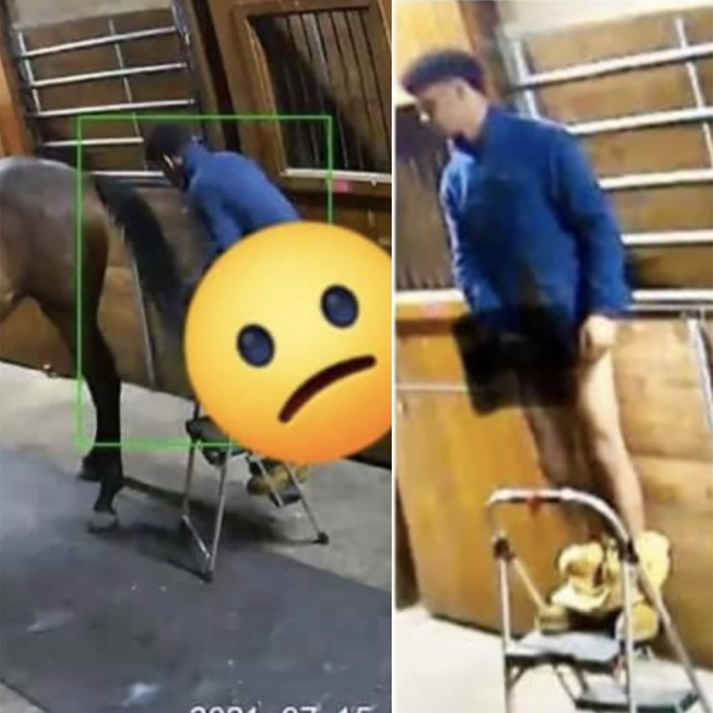 Manfucks horse