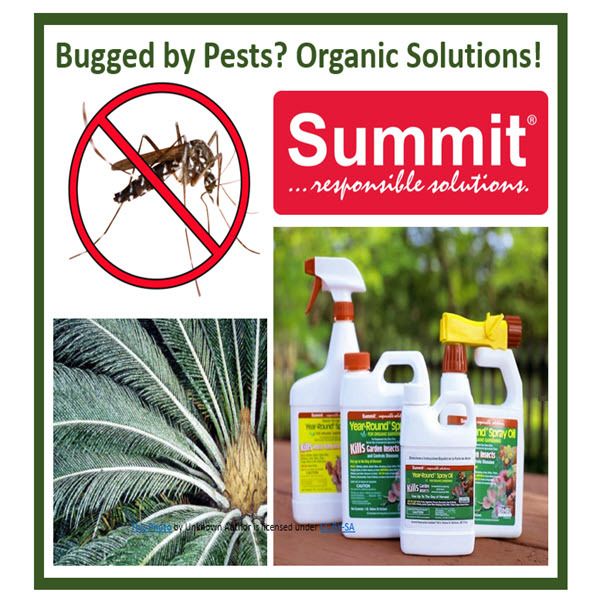 Better Lawns and Gardens / Better Lawns and Gardens Hour 1 Help Save