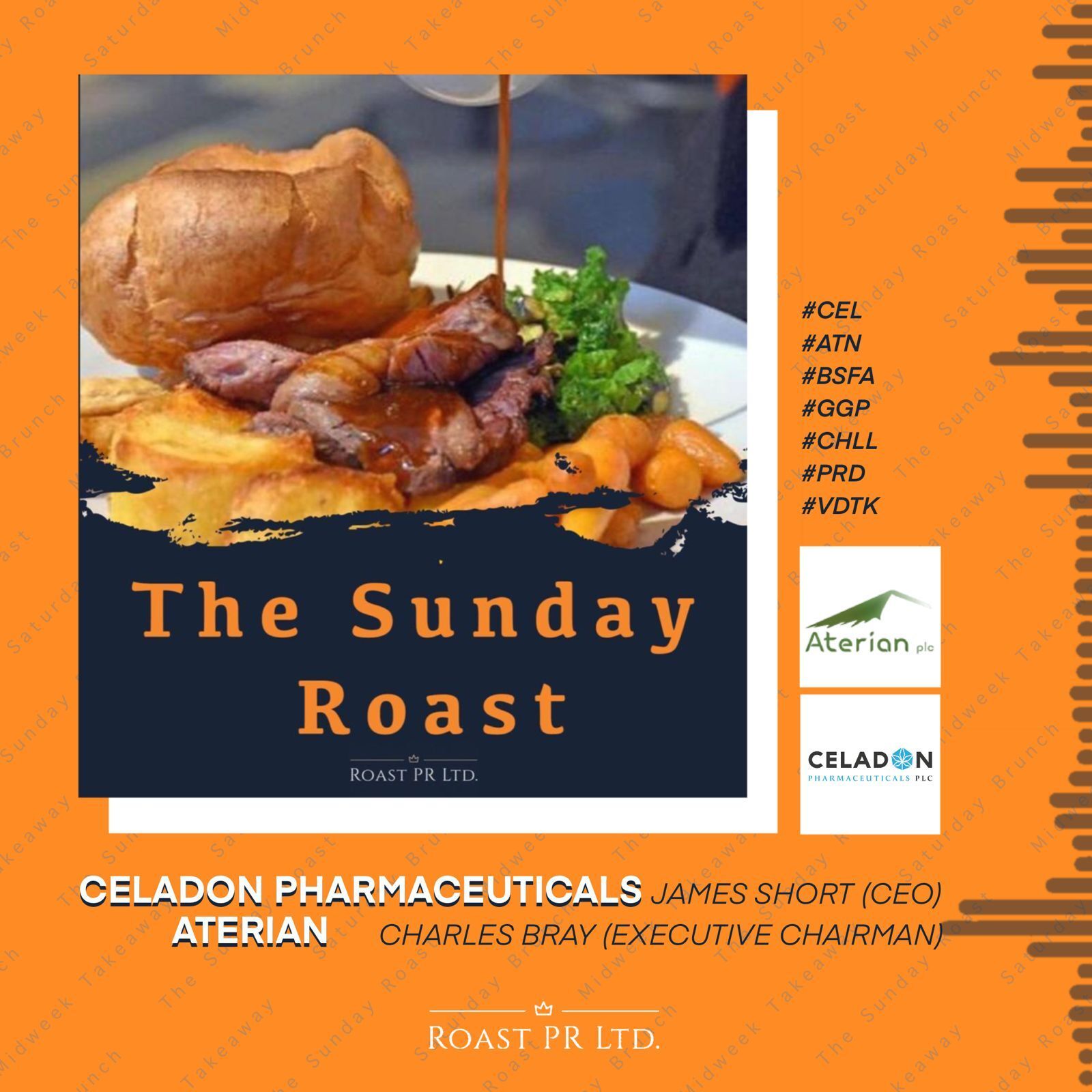 S5 Ep35: The Sunday Roast featuring James Short, CEO of Celadon Pharmaceuticals (AIM:CEL) & Charles Bray, Chairman of Aterian (LSE:ATN) #GGP #BSFA #CHLL #VDTK  #ATN  #PRD #CEL episode artwork