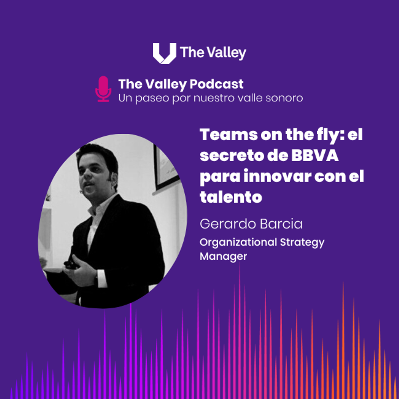 The Valley Podcast