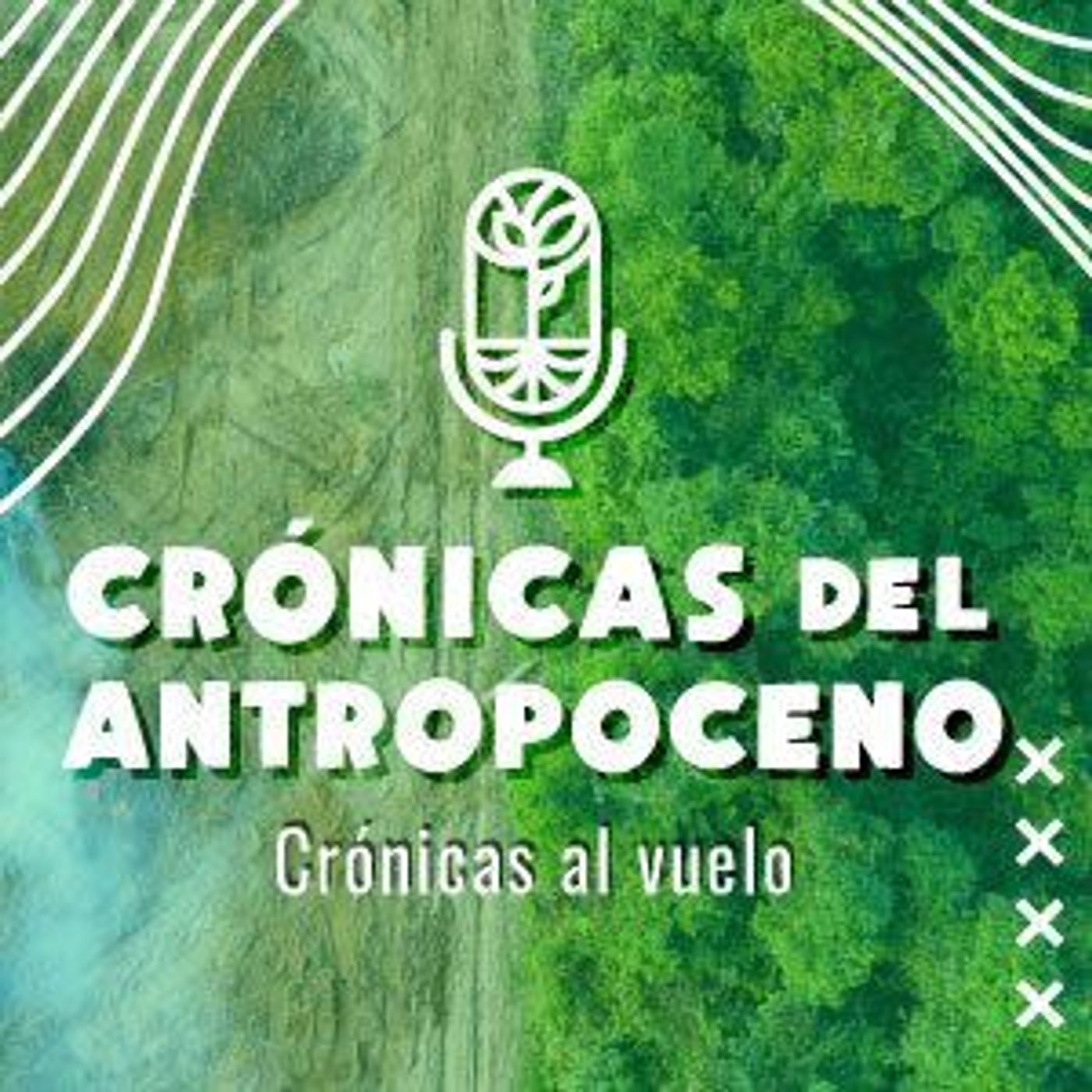 Crónicas del Antropoceno
