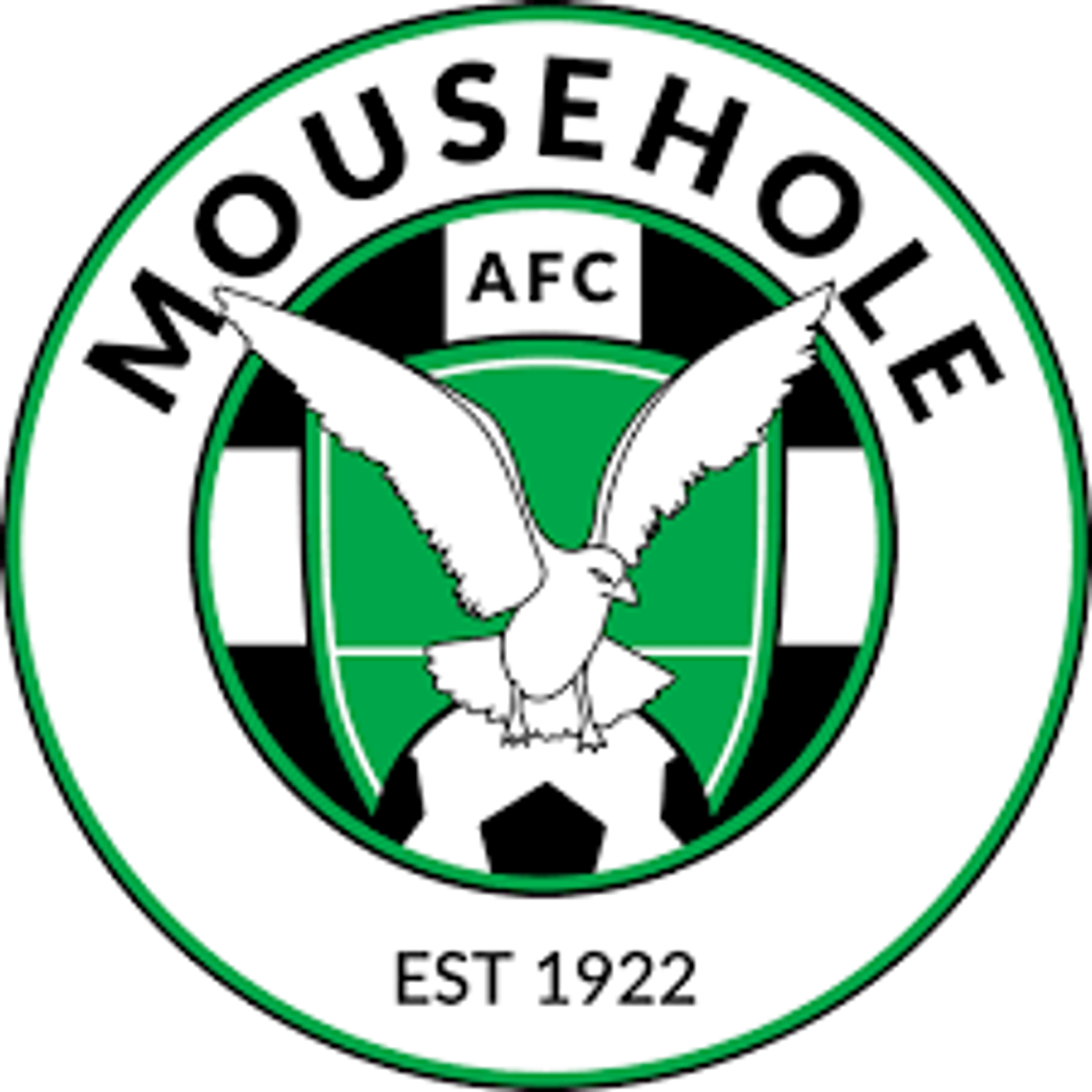 S12 Ep24: THE REPOSS NON LEAGUE ROUND UP SHOW MOUSEHOLE SPECIAL episode artwork