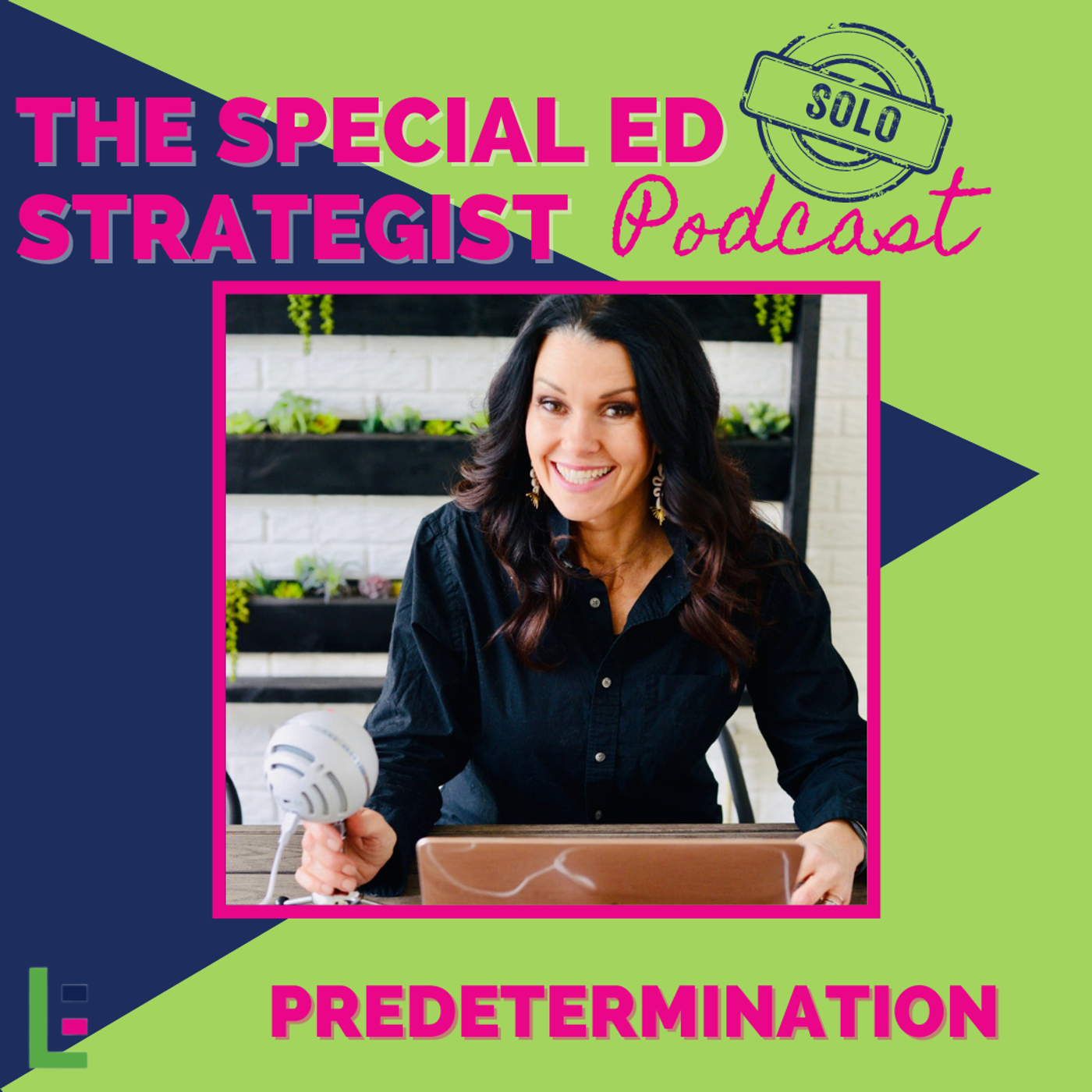 61: IEP Strategy: Predetermination