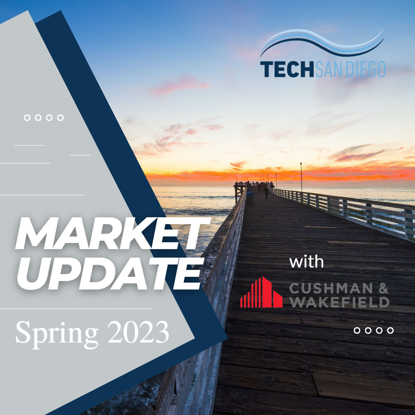 41: TSD Spotlight on Spring Real Estate Market with Cushman and Wakefield episode artwork