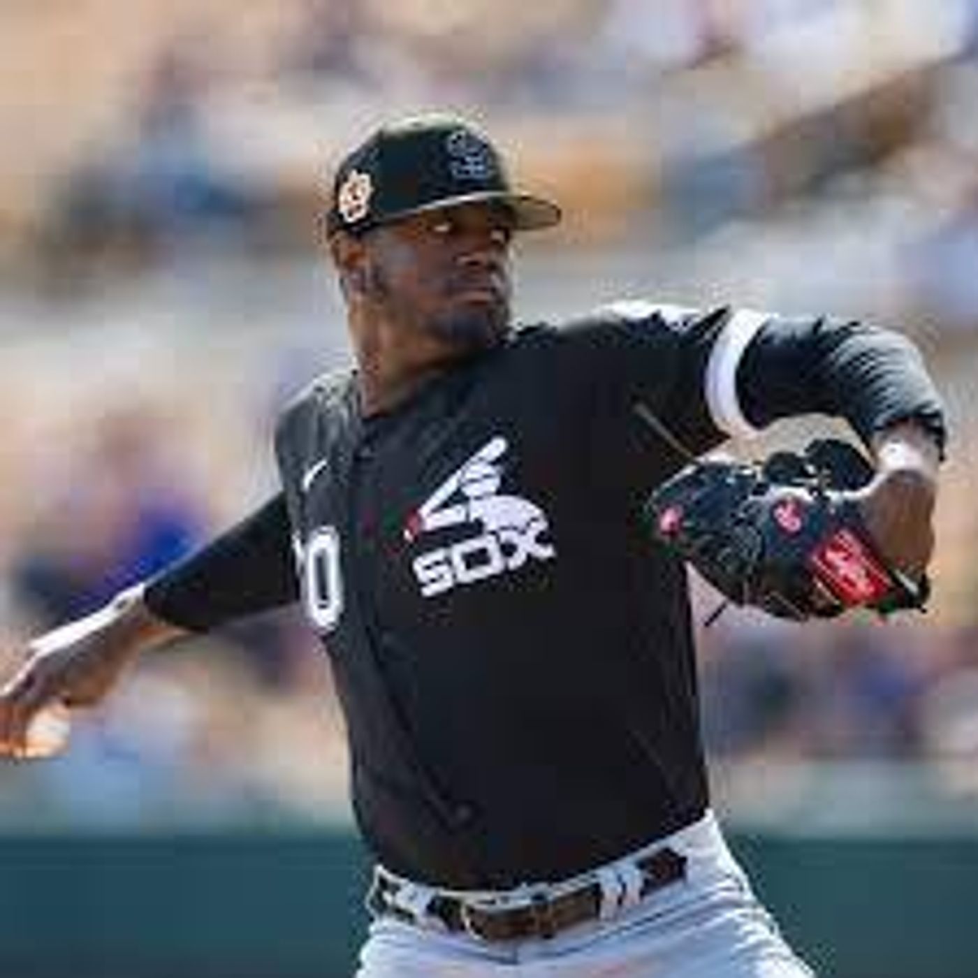 Gregory Santos White Sox & Coach Michael E. Mayden