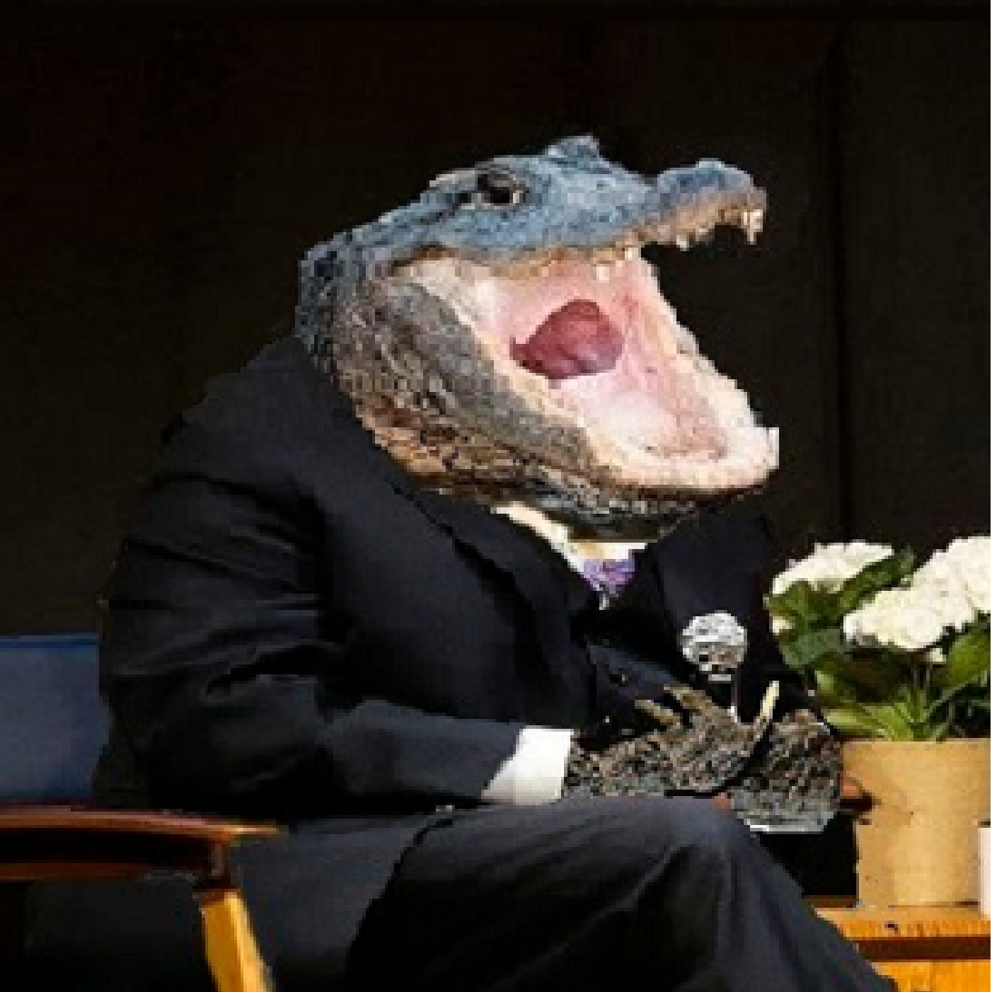 Ringhausen Brothers Alligator Wrestling Podcast