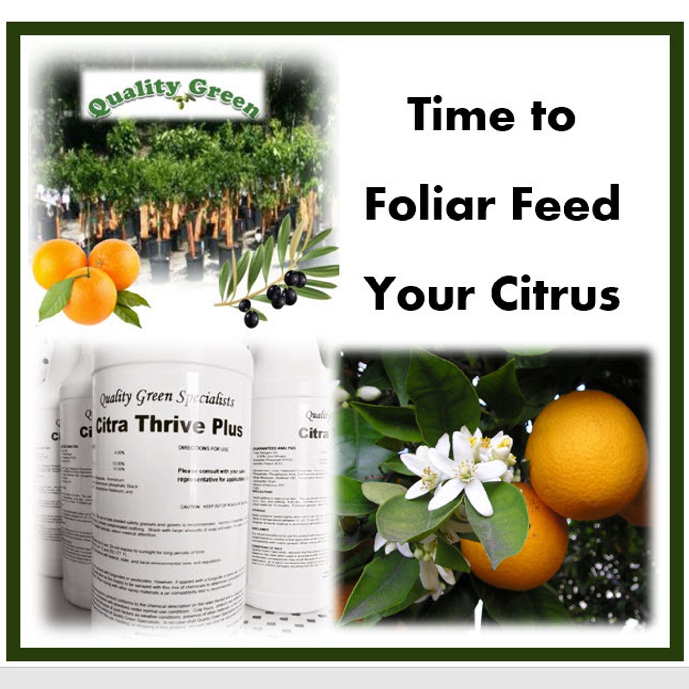 S2 Ep229: Better Lawns and Gardens - Hour 1 Dana Venrick Citrus Foliar Feeding June 3, 2023