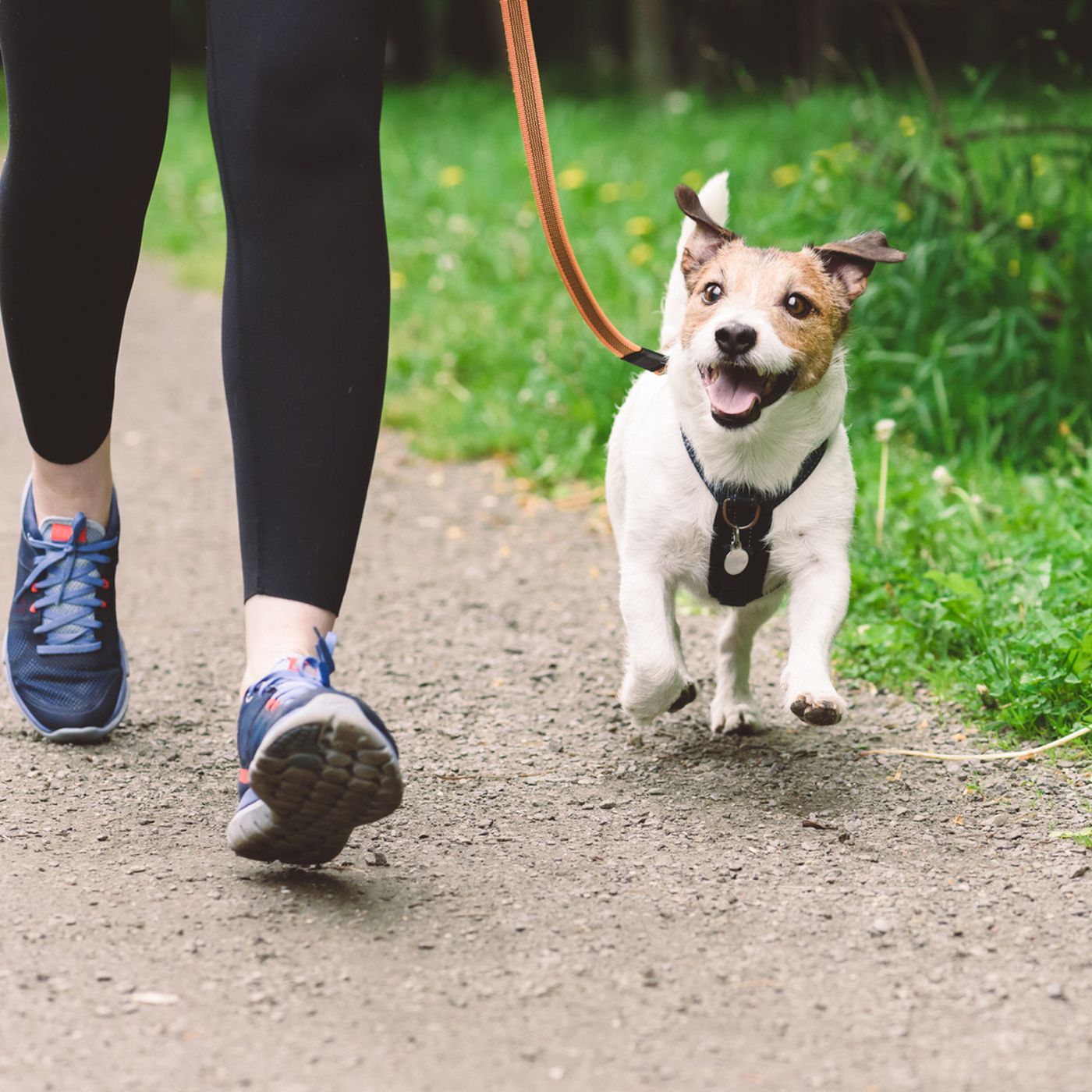 THE FEED: Tips on Getting Your Fitness in Where You Least Expect It! episode artwork