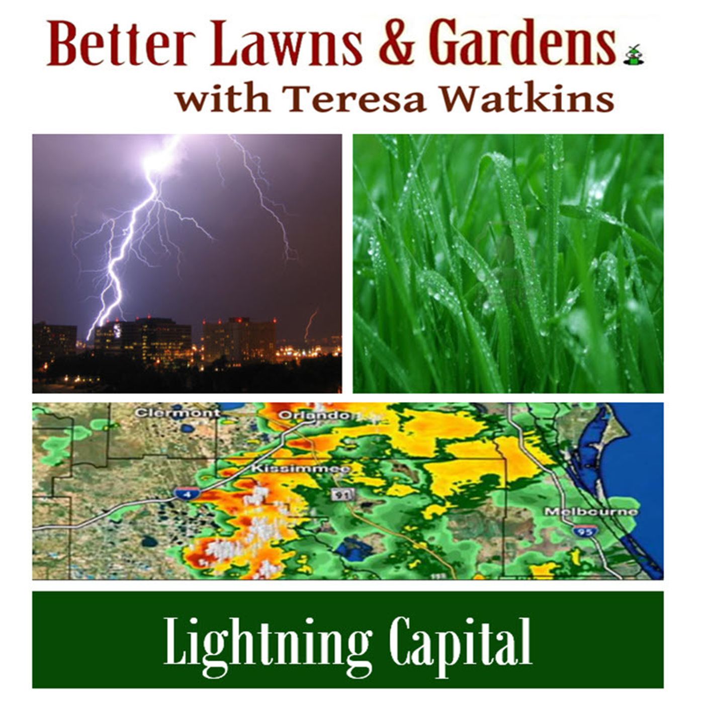 Better Lawns and Gardens Hour 1 Lightning Capital June 24, 2023