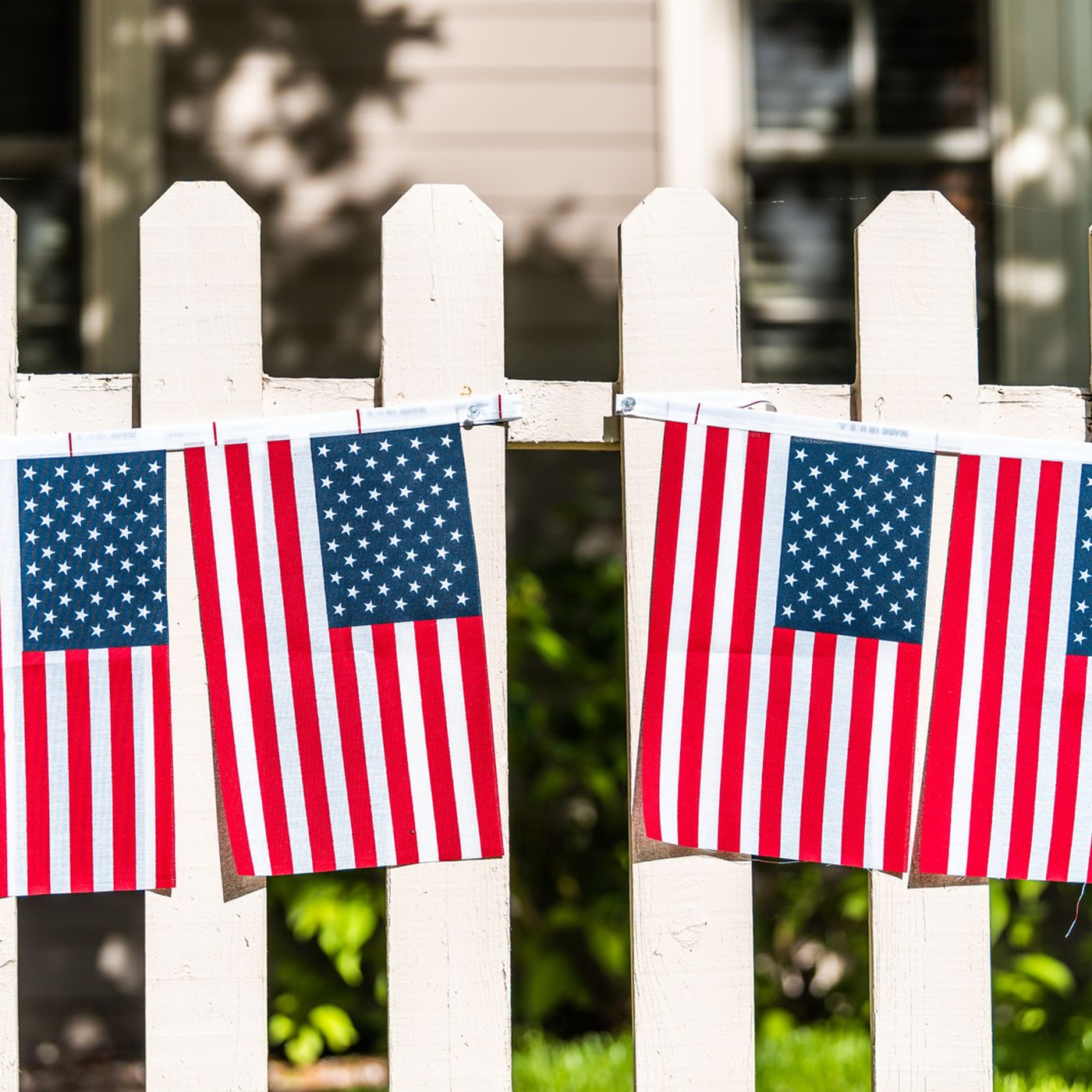 THE FEED: How To Have a Fun (and Safe) Fourth of July at Home! episode artwork