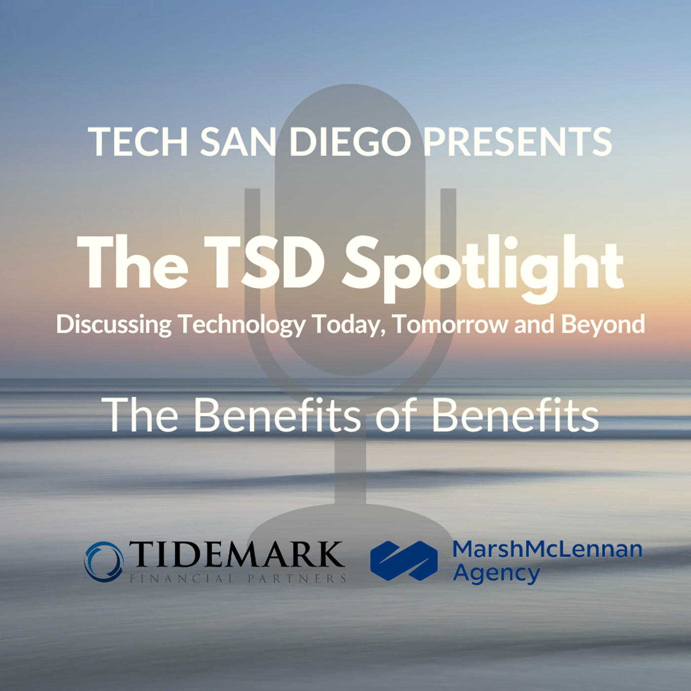 43: TSD Spotlight with Christy Quiogue: The Benefits of Benefits episode artwork
