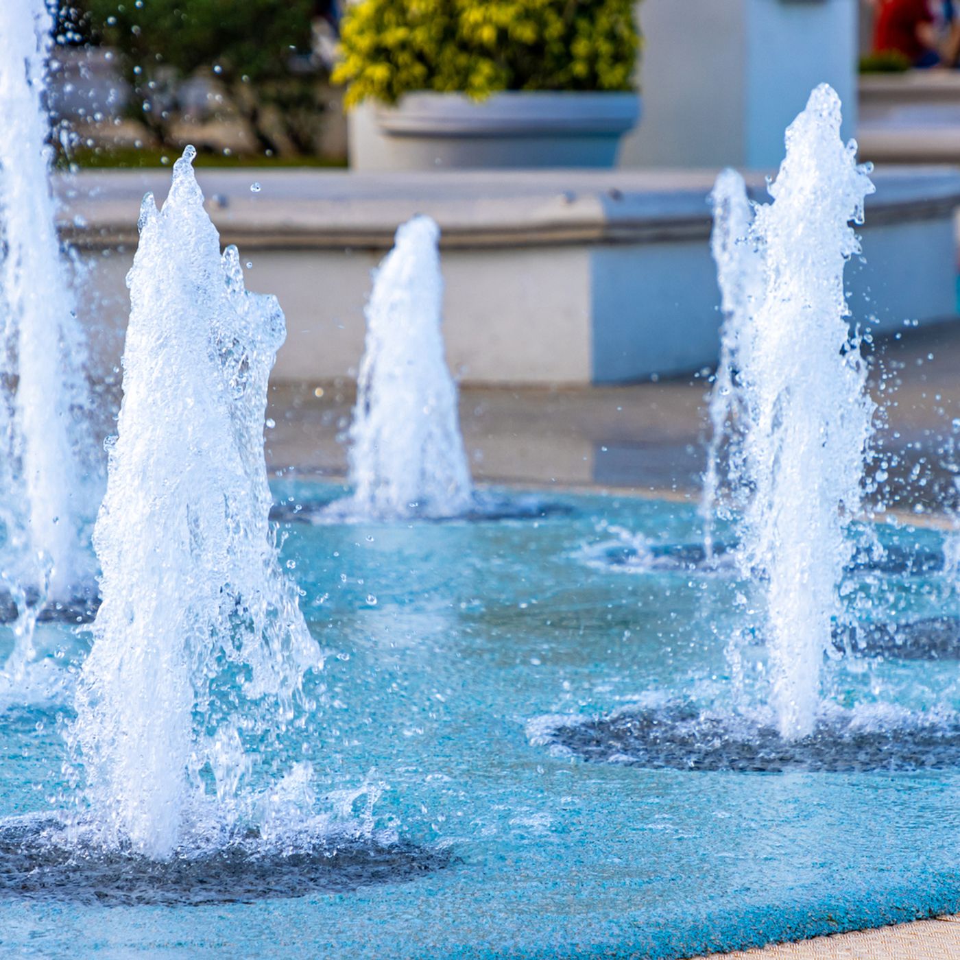 THE FEED: Splash Pads, Outdoor Movies, and Pizza episode artwork