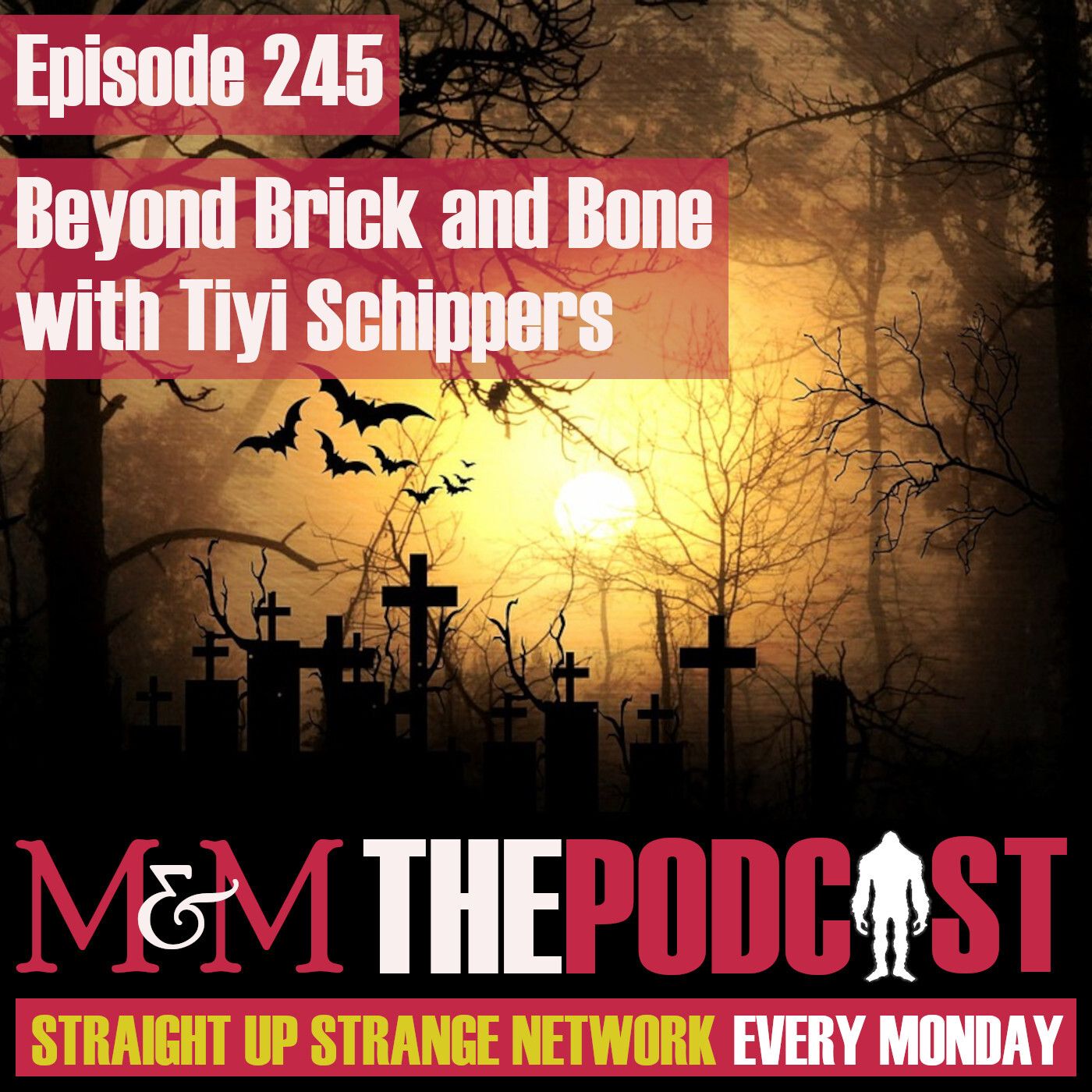 Mysteries and Monsters: Episode 245 Beyond Brick and Bone with Tiyi Schippers