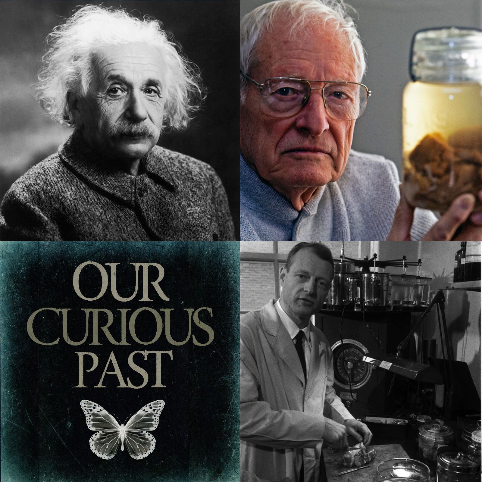 19: The Man Who Stole Albert Einstein's Brain