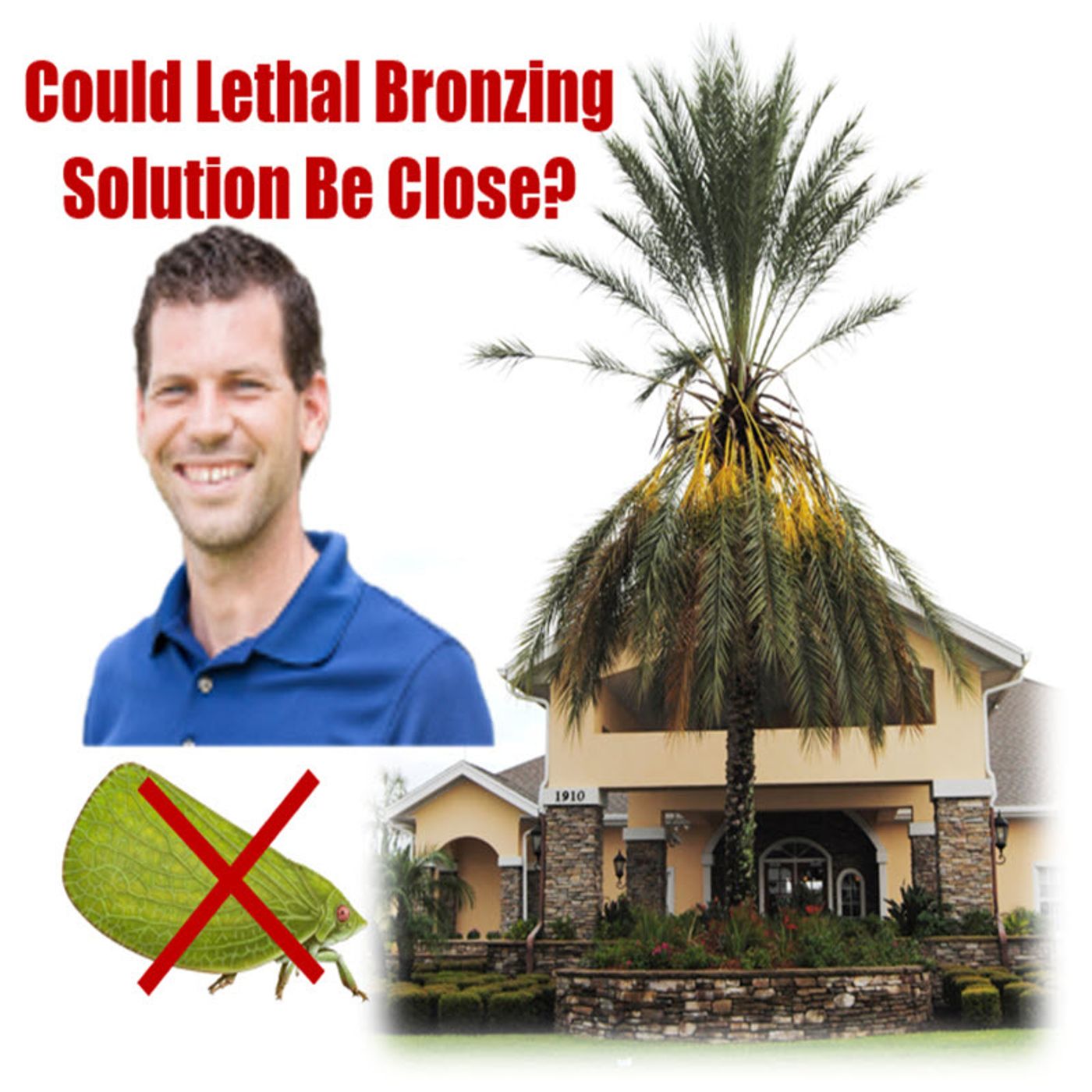 Better Lawns and Gardens - Hour 1 Dr. Brian Bahder Lethal Bronzing Discovery July 22, 2023