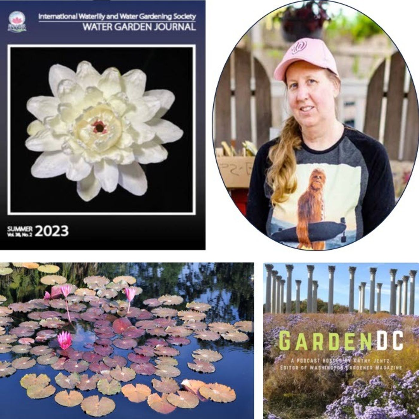 Better Lawns and Gardens - Hour 2 Kathy Jentz Water Features in Your Garden July 29, 2023.