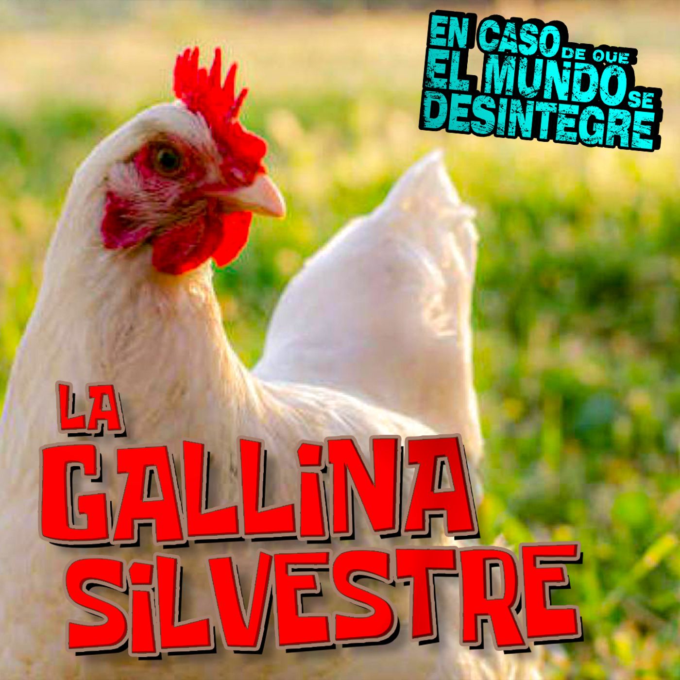 S25 Ep5584: La Gallina Silvestre
