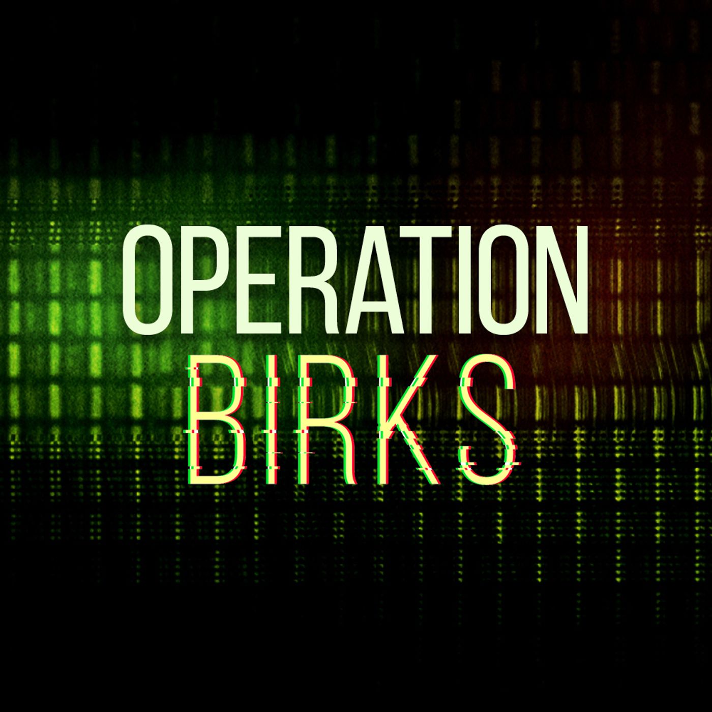 11: Operation Birks